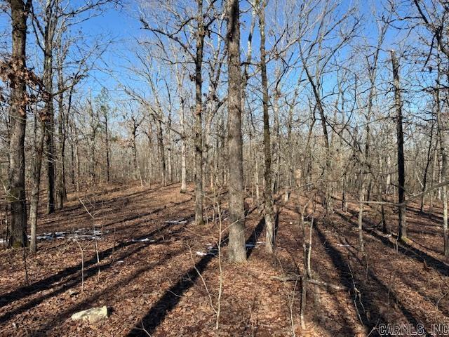 250  Windwood Country  El Paso, AR