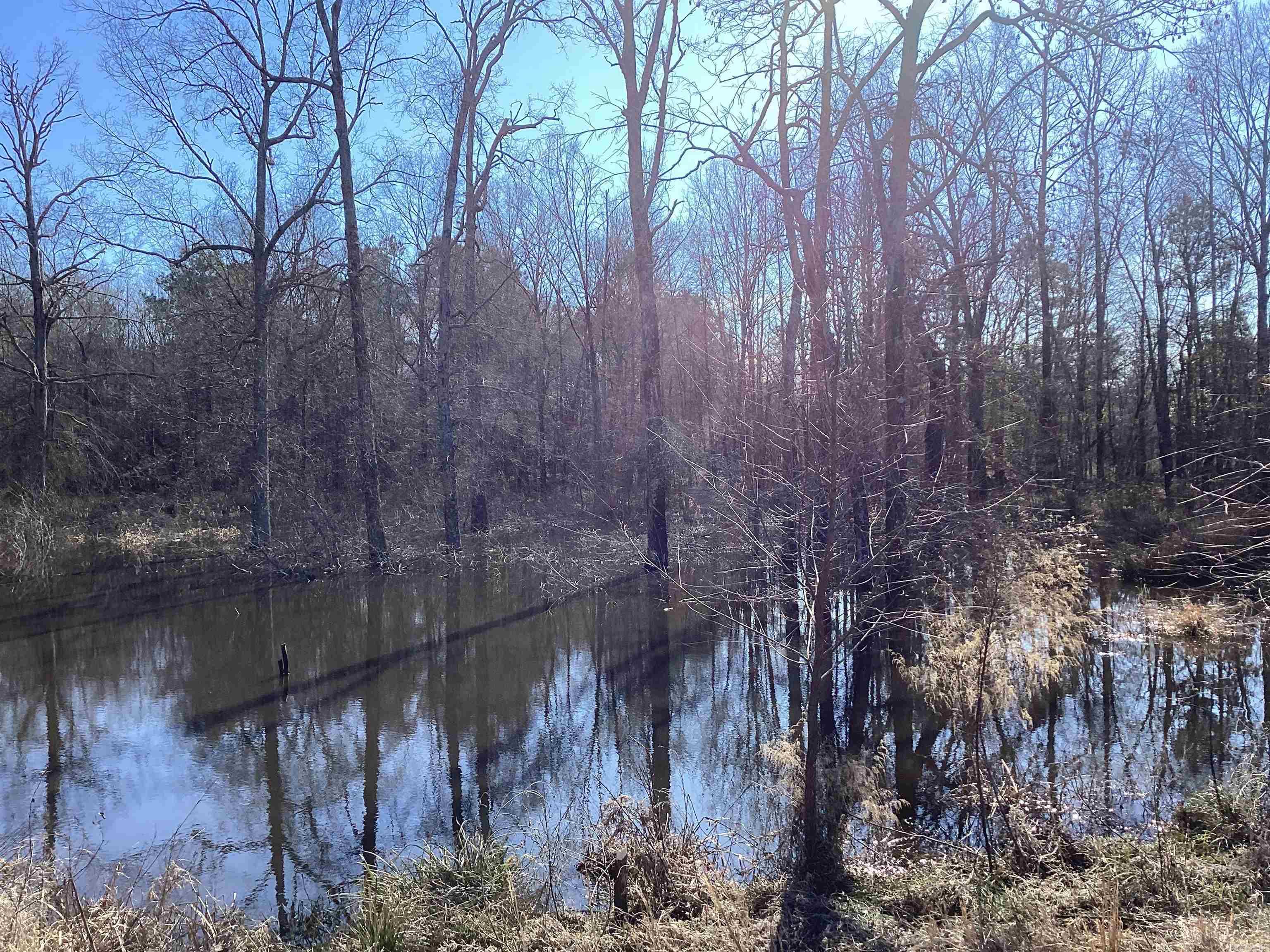   County Road 41  Prescott, AR