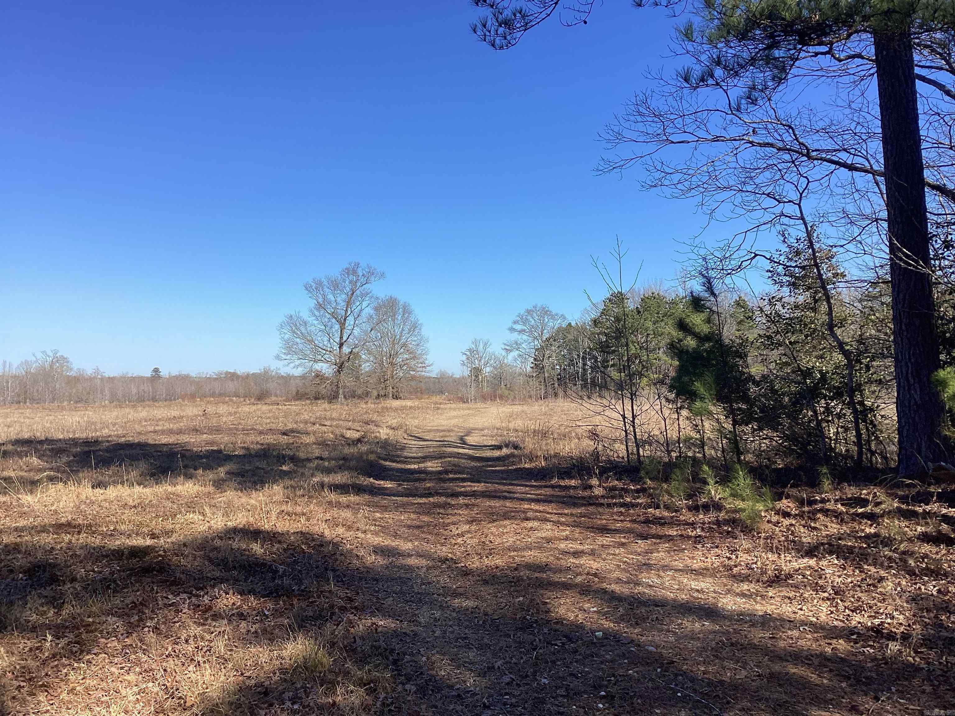   County Road 41  Prescott, AR