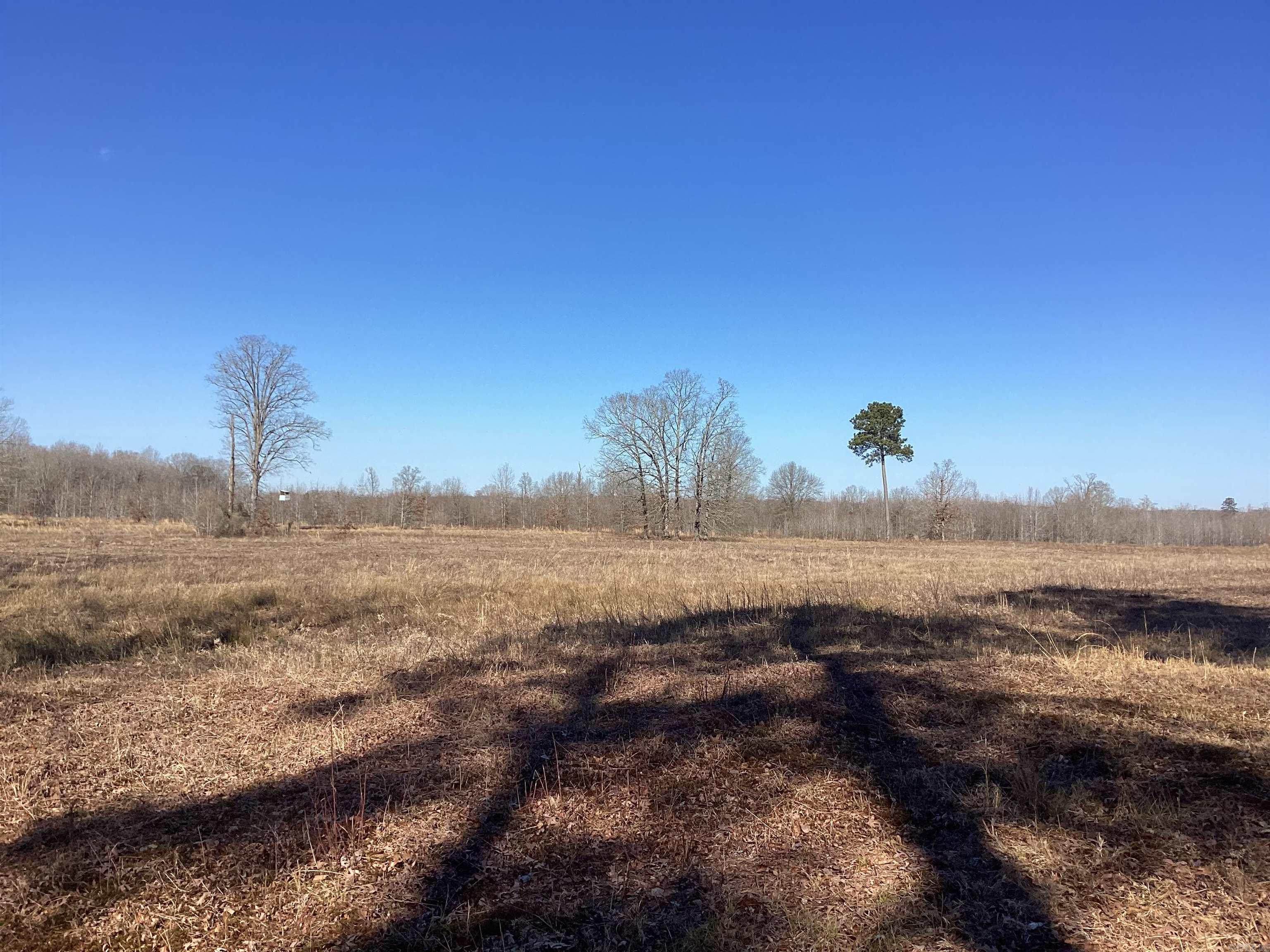   County Road 41  Prescott, AR