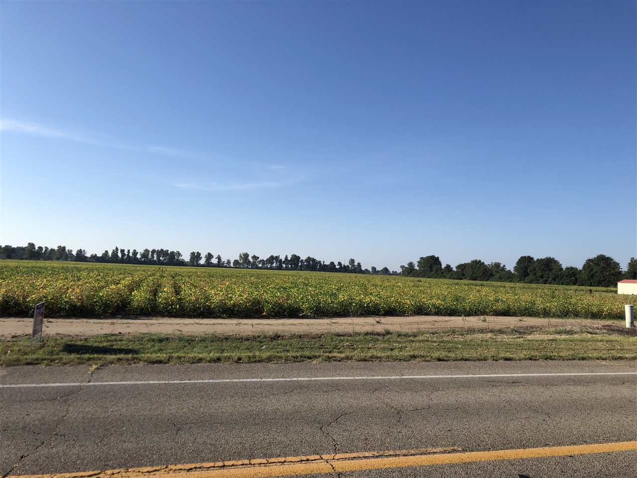 39.10 Acres W Main 39.10 Acres West Main Extended Trumann, AR