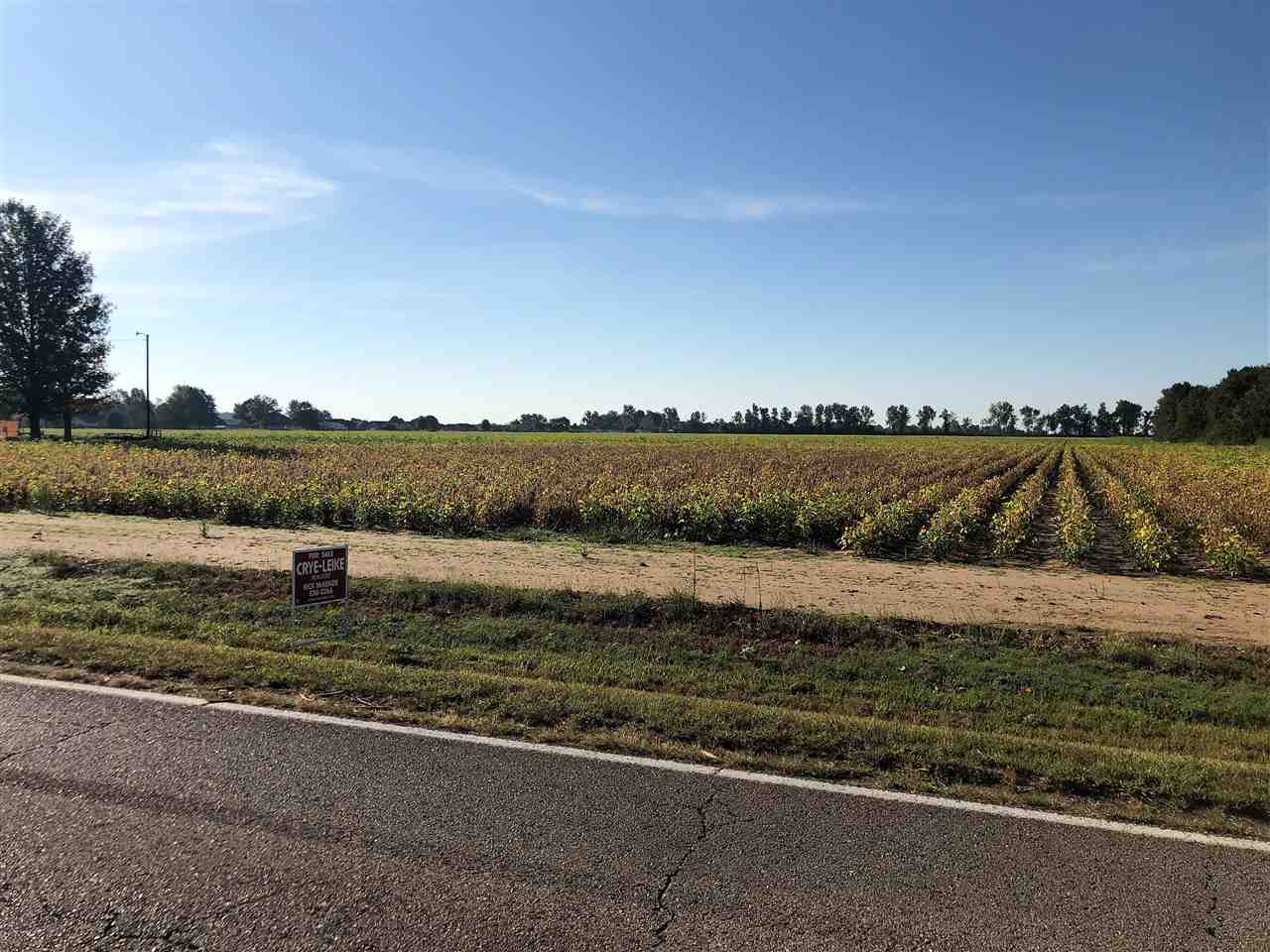 39.10 Acres W Main 39.10 Acres West Main Extended Trumann, AR