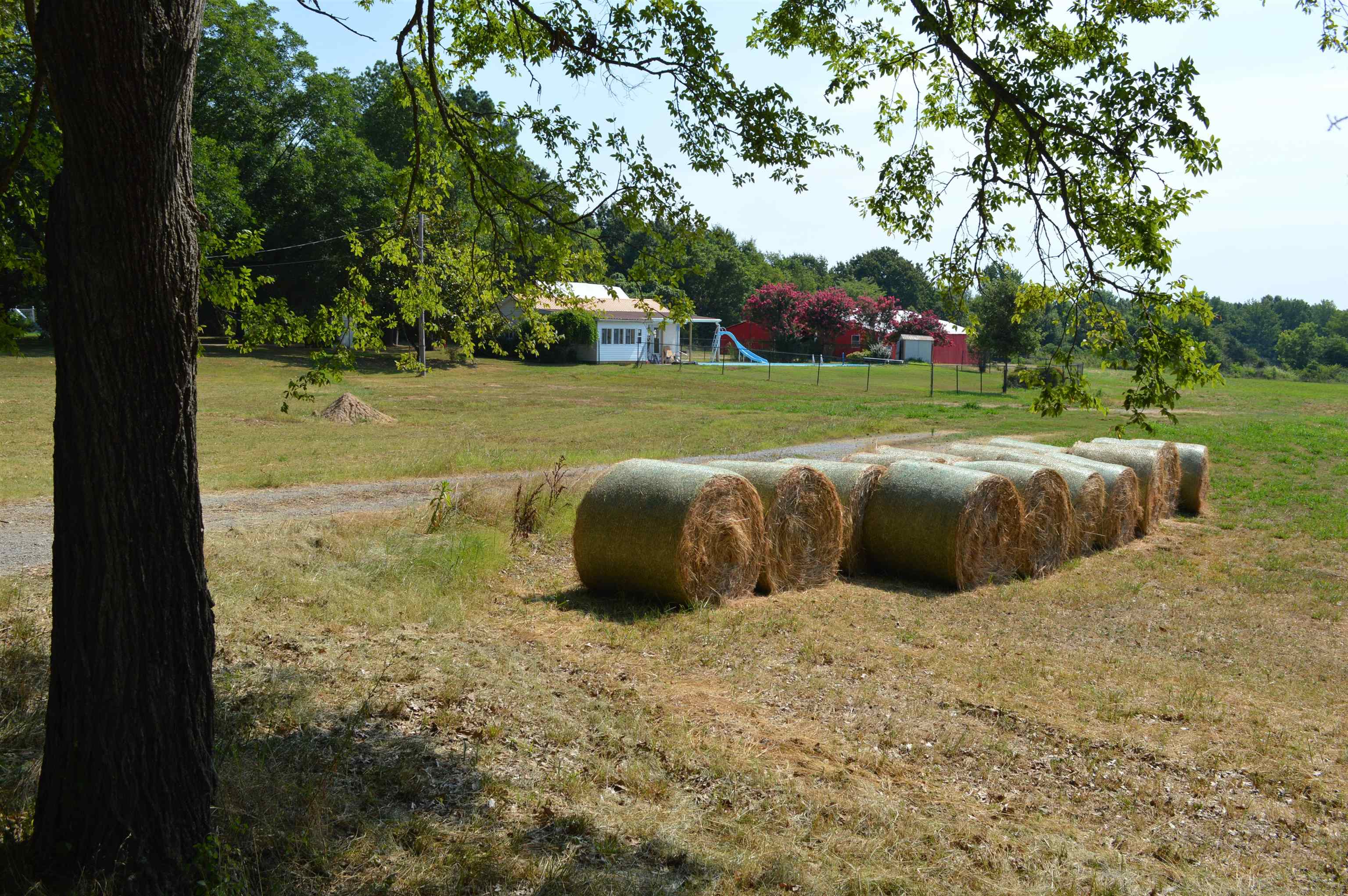 3613  Purcell  Paragould, AR
