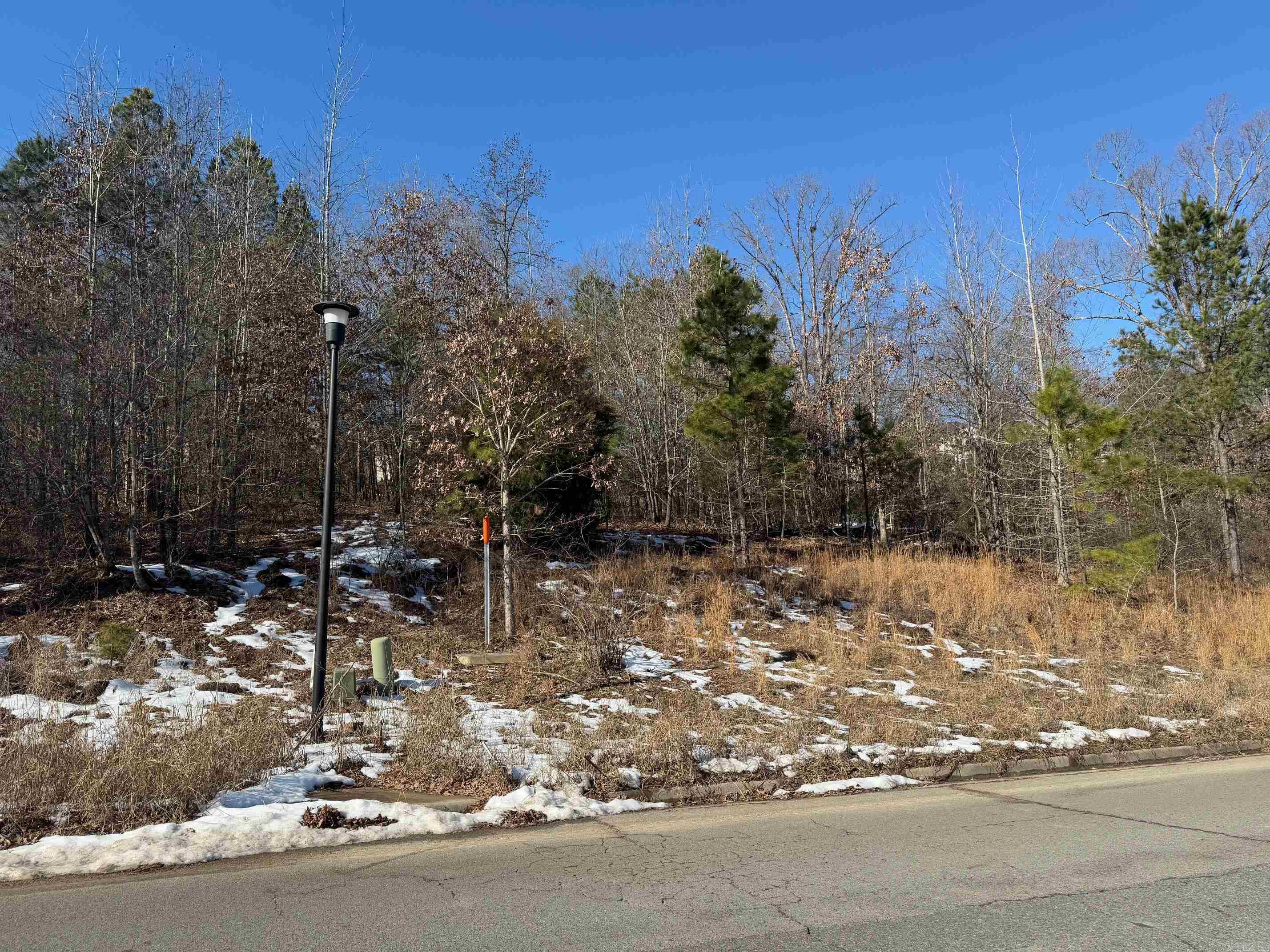 105  Navajo  Maumelle, AR