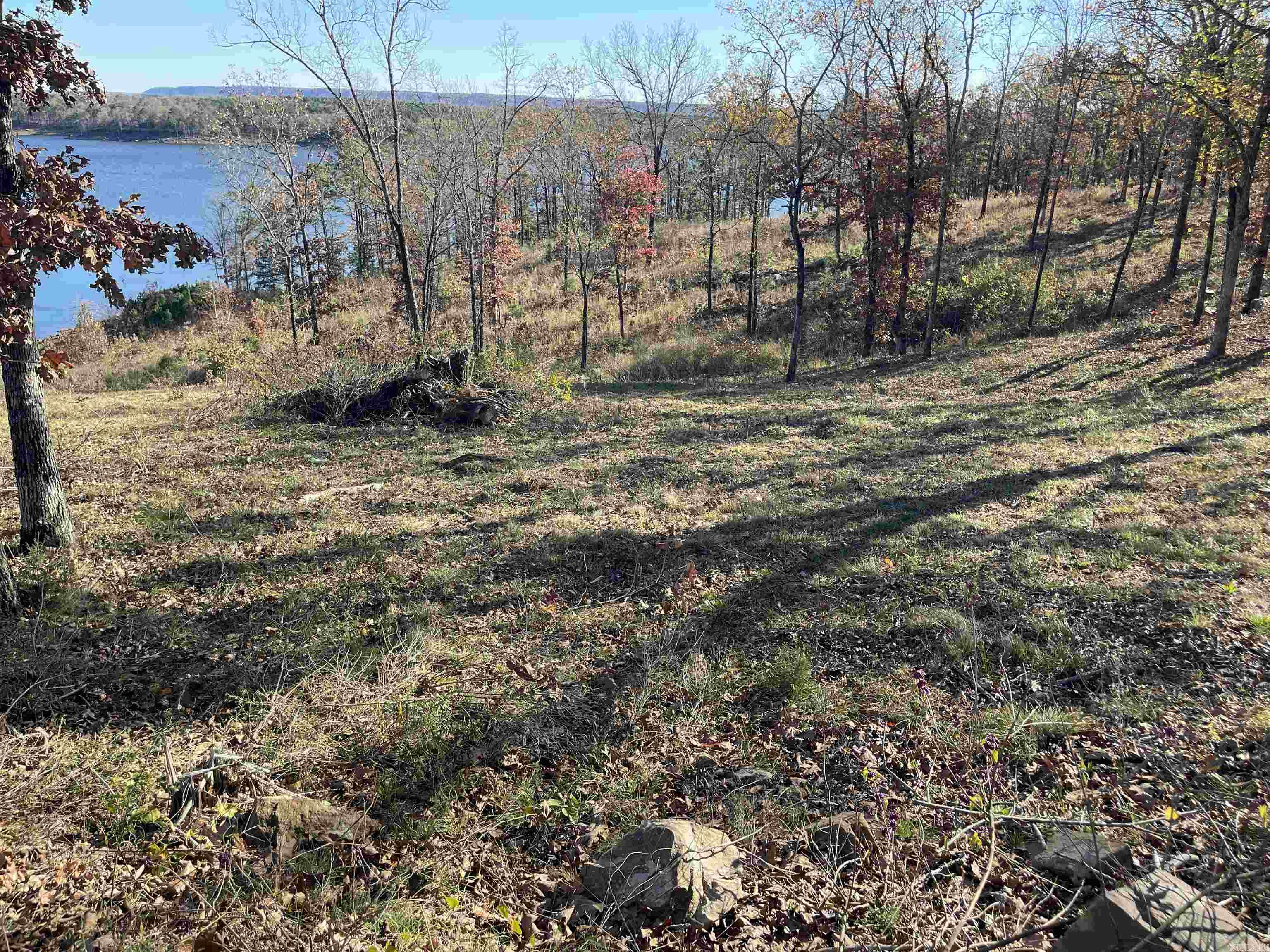 167 Sunrise Circle Fairfield Bay, AR 72088