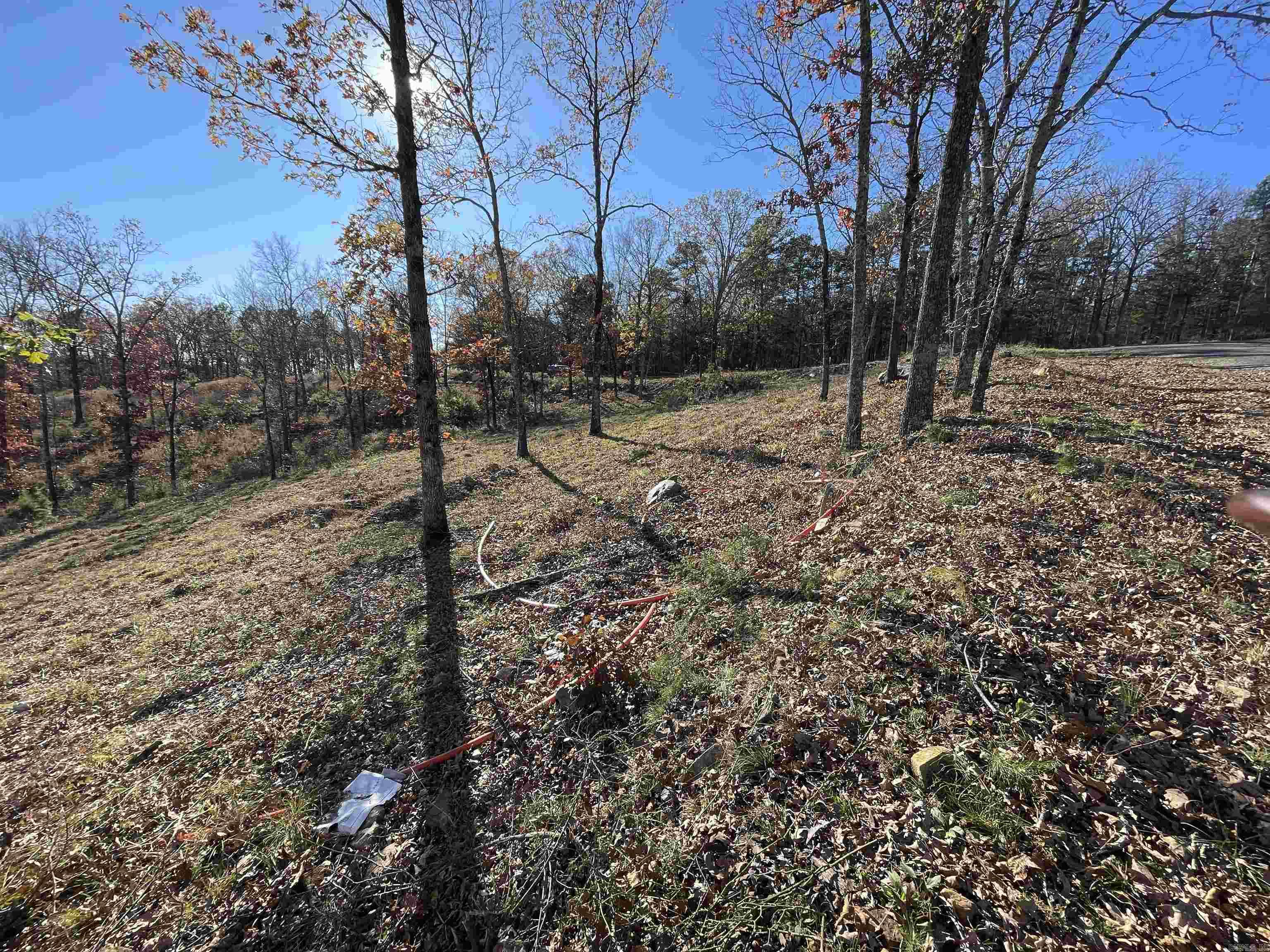 167 Sunrise Circle Fairfield Bay, AR 72088