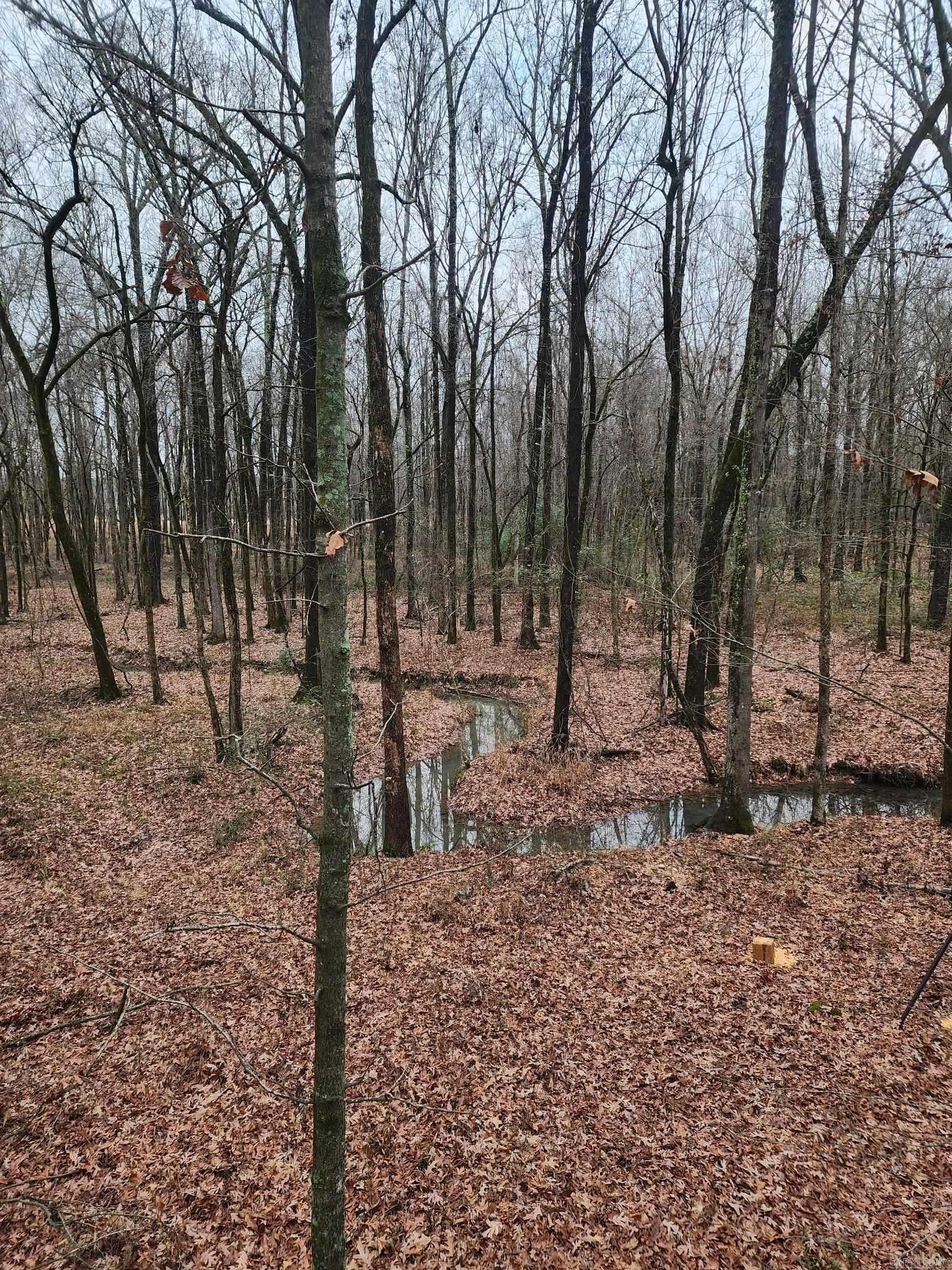 000000  Lemay  Austin, AR