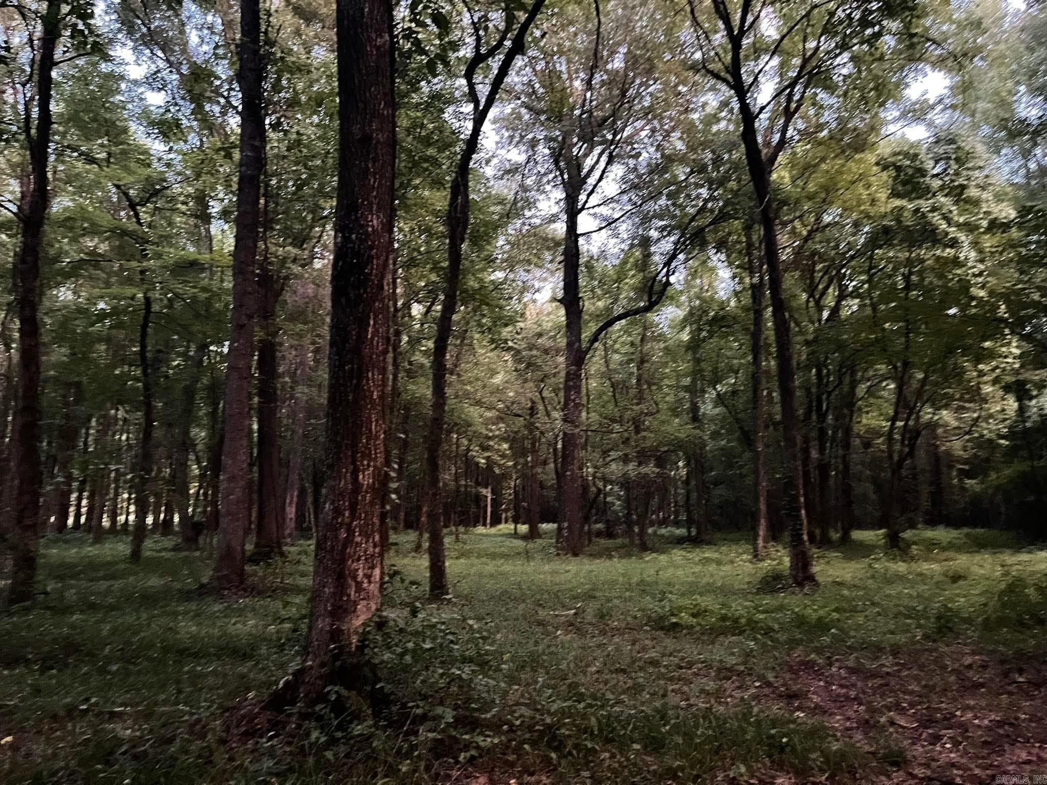 000000  Lemay  Austin, AR