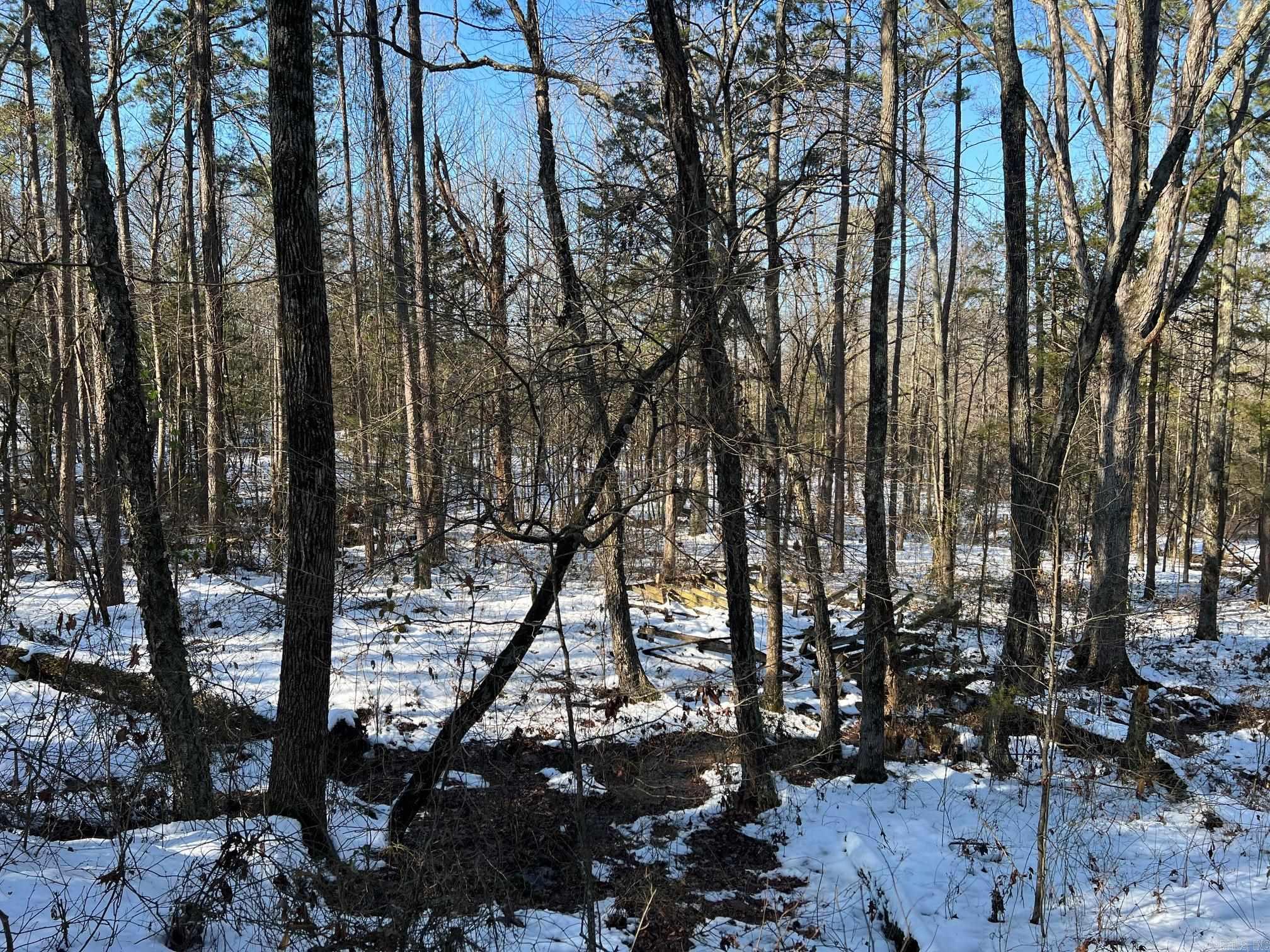 841  boyd  Dover, AR