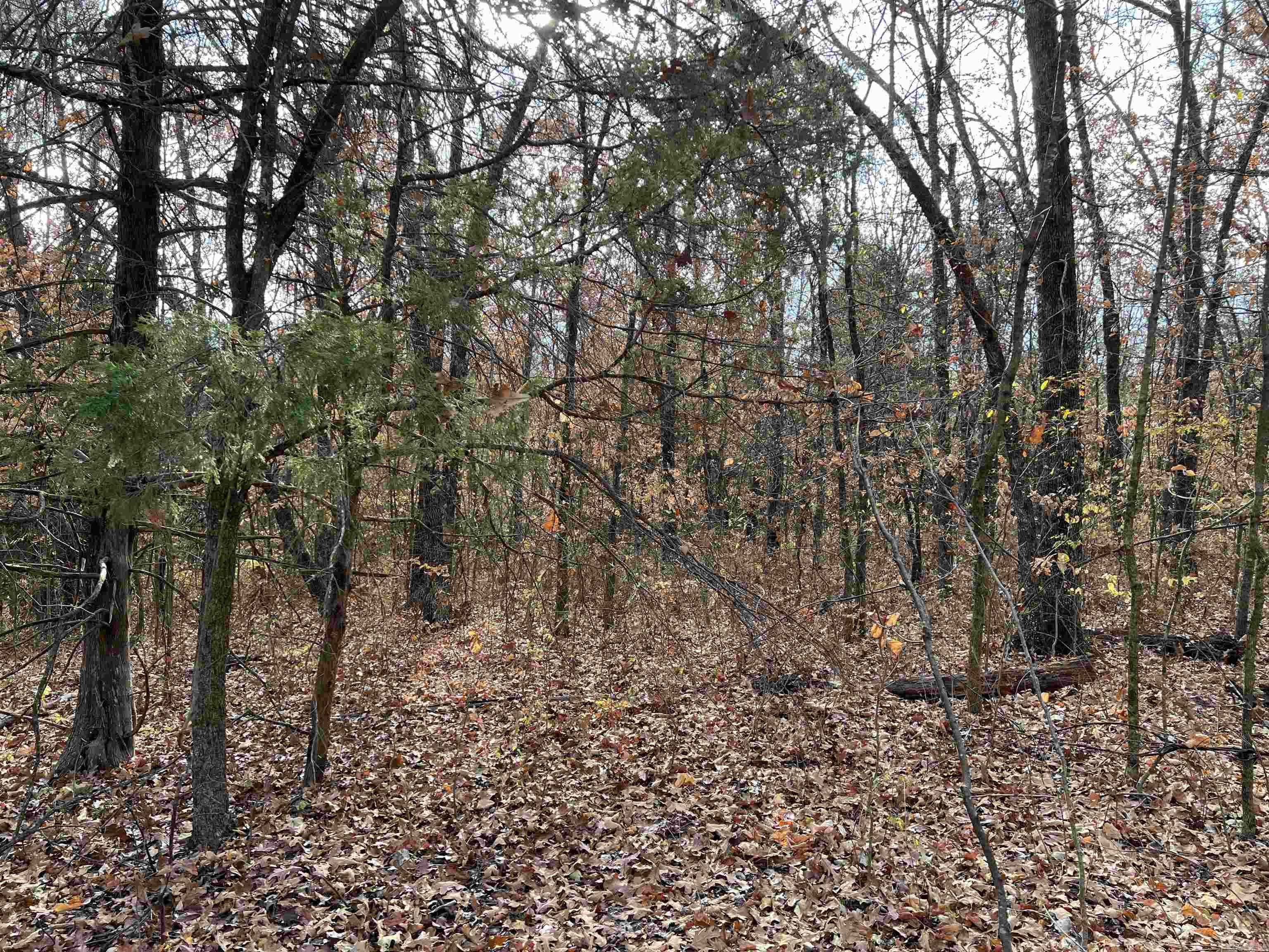2758 N Center Loop  Harrison, AR