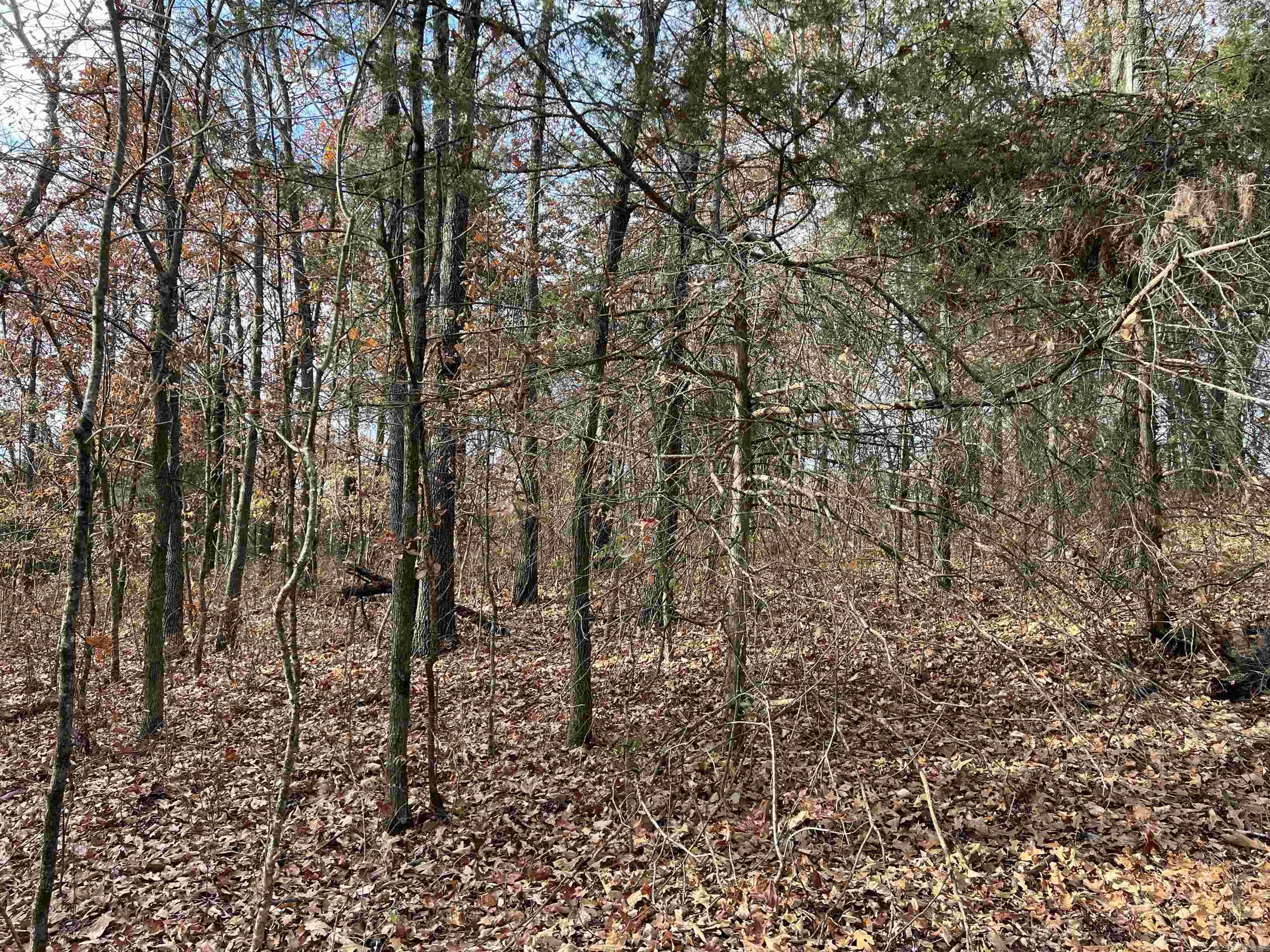 2758 N Center Loop  Harrison, AR