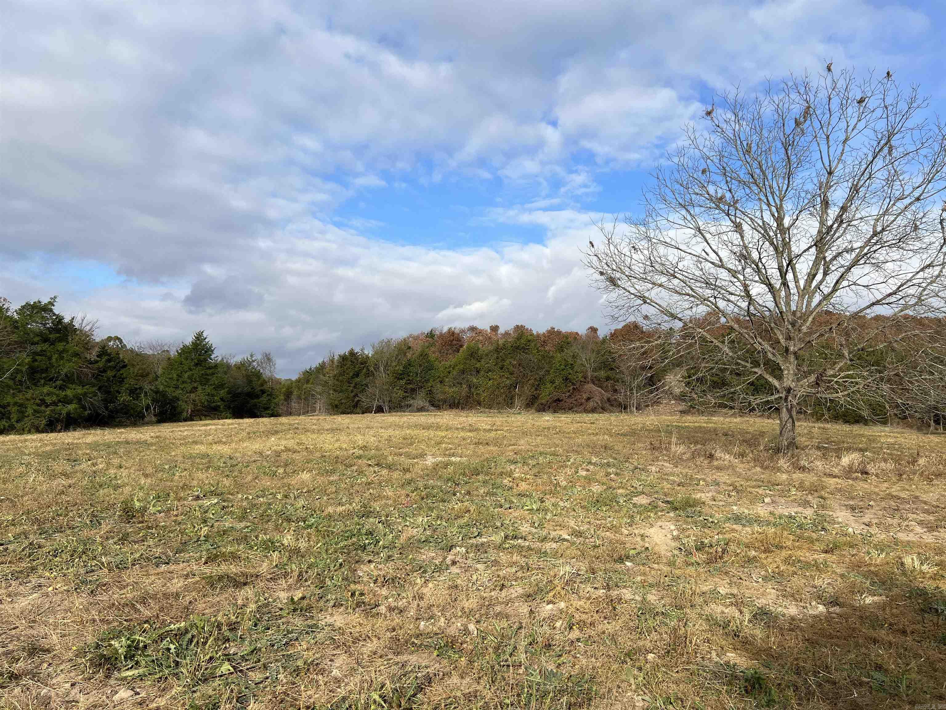 2758 N Center Loop  Harrison, AR