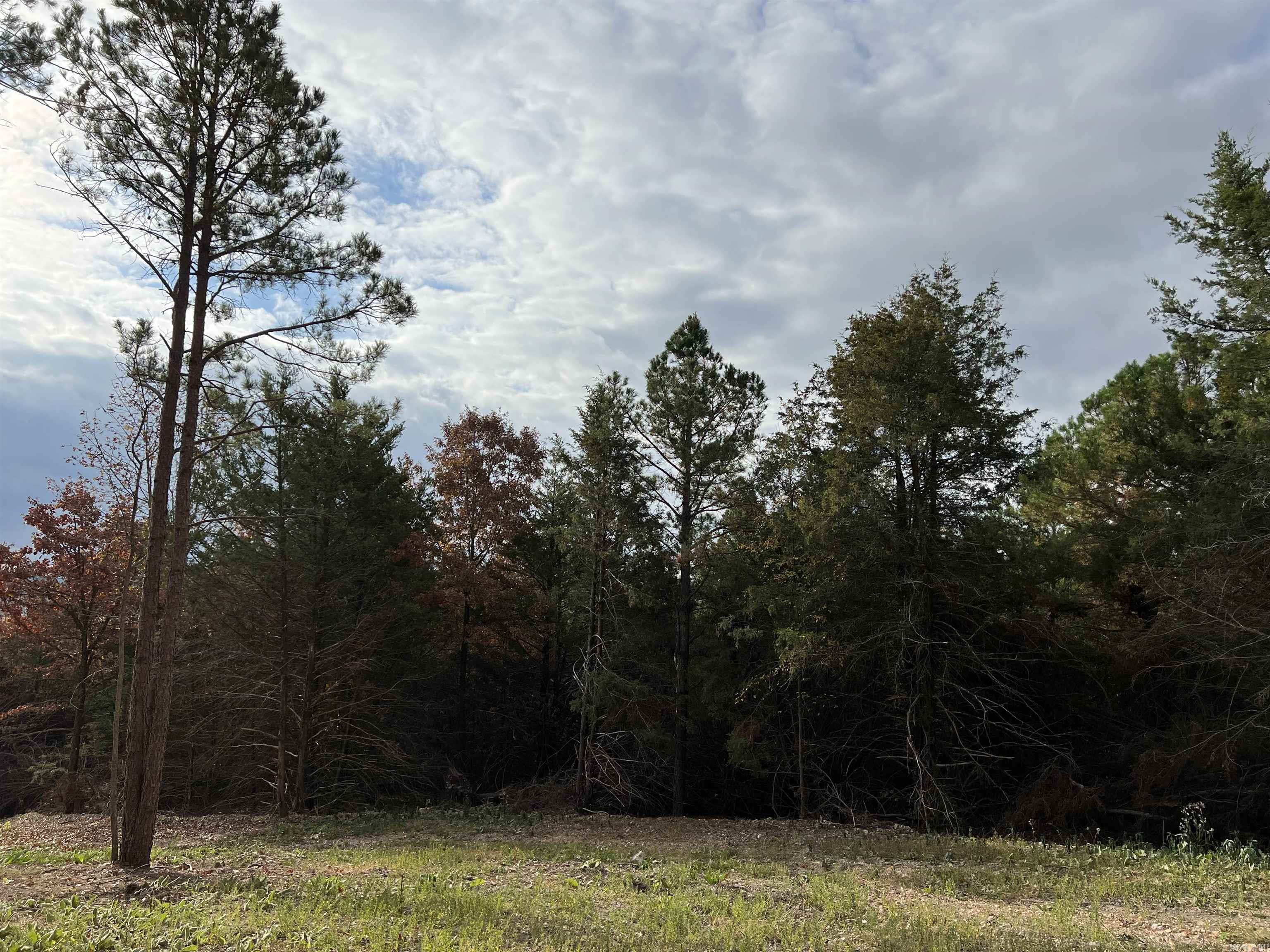 2758 N Center Loop  Harrison, AR