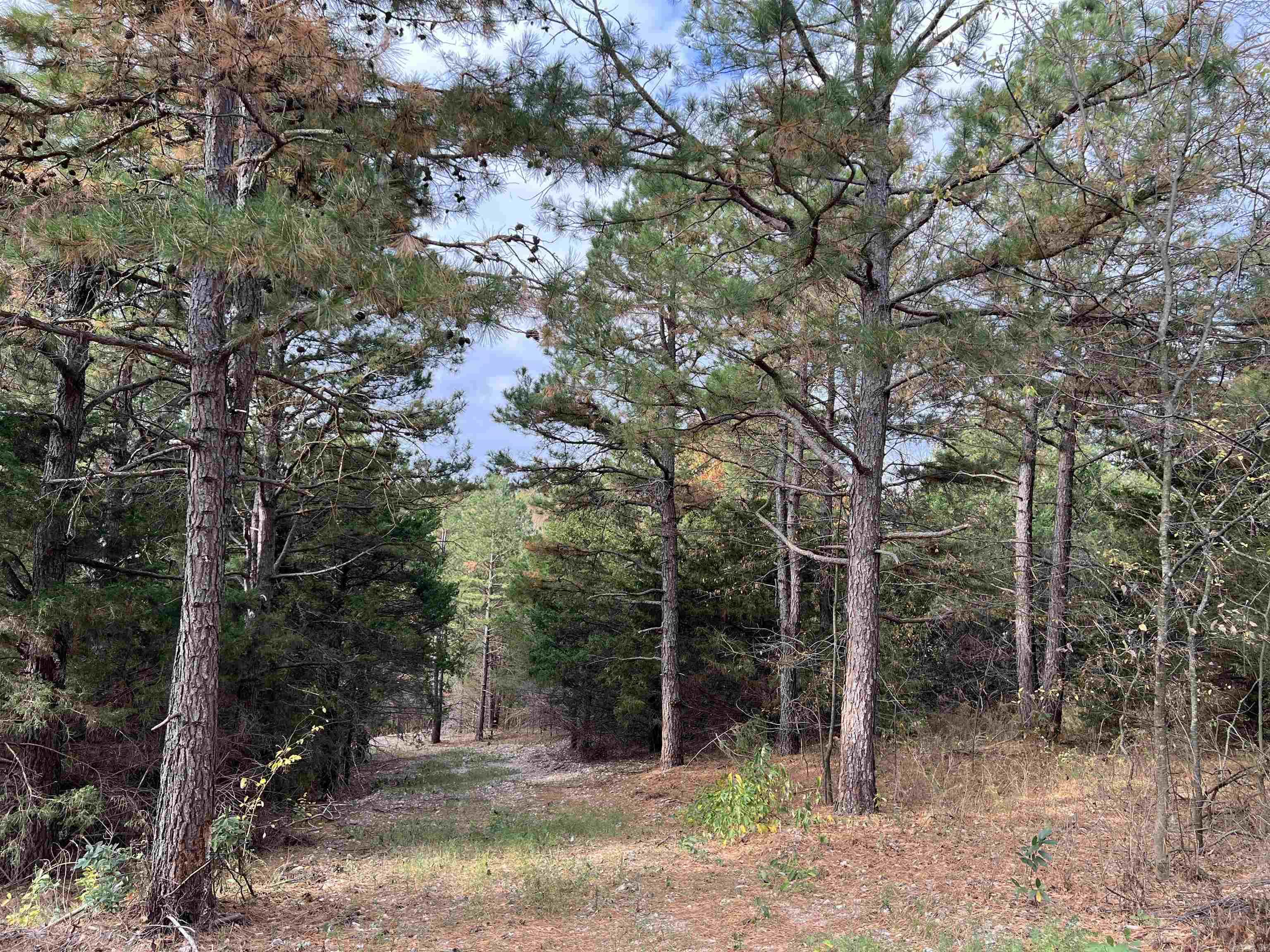 2758 N Center Loop  Harrison, AR