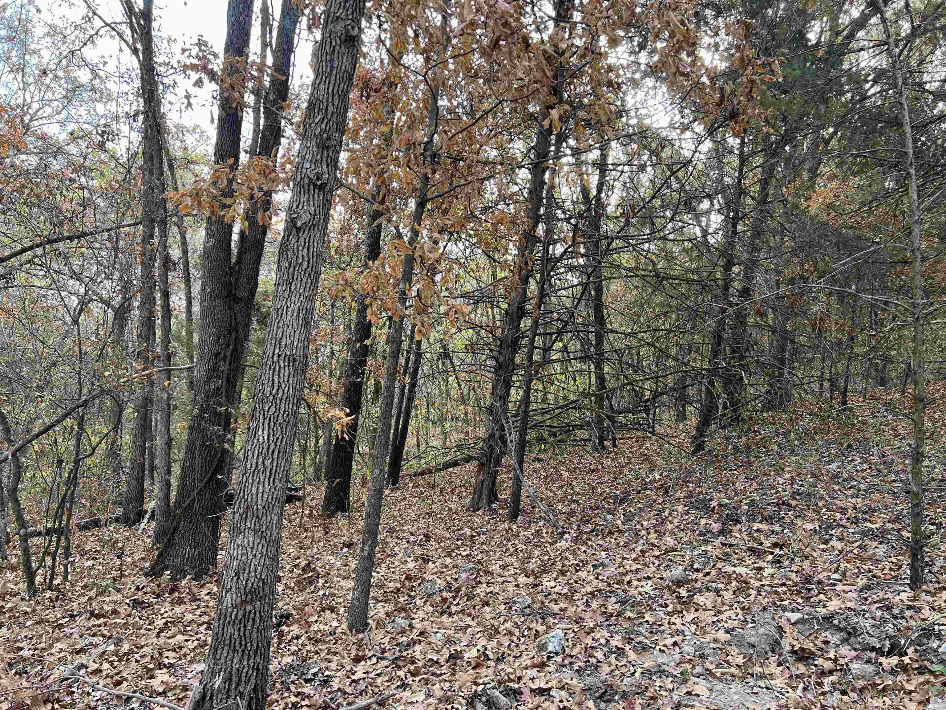 2758 N Center Loop  Harrison, AR