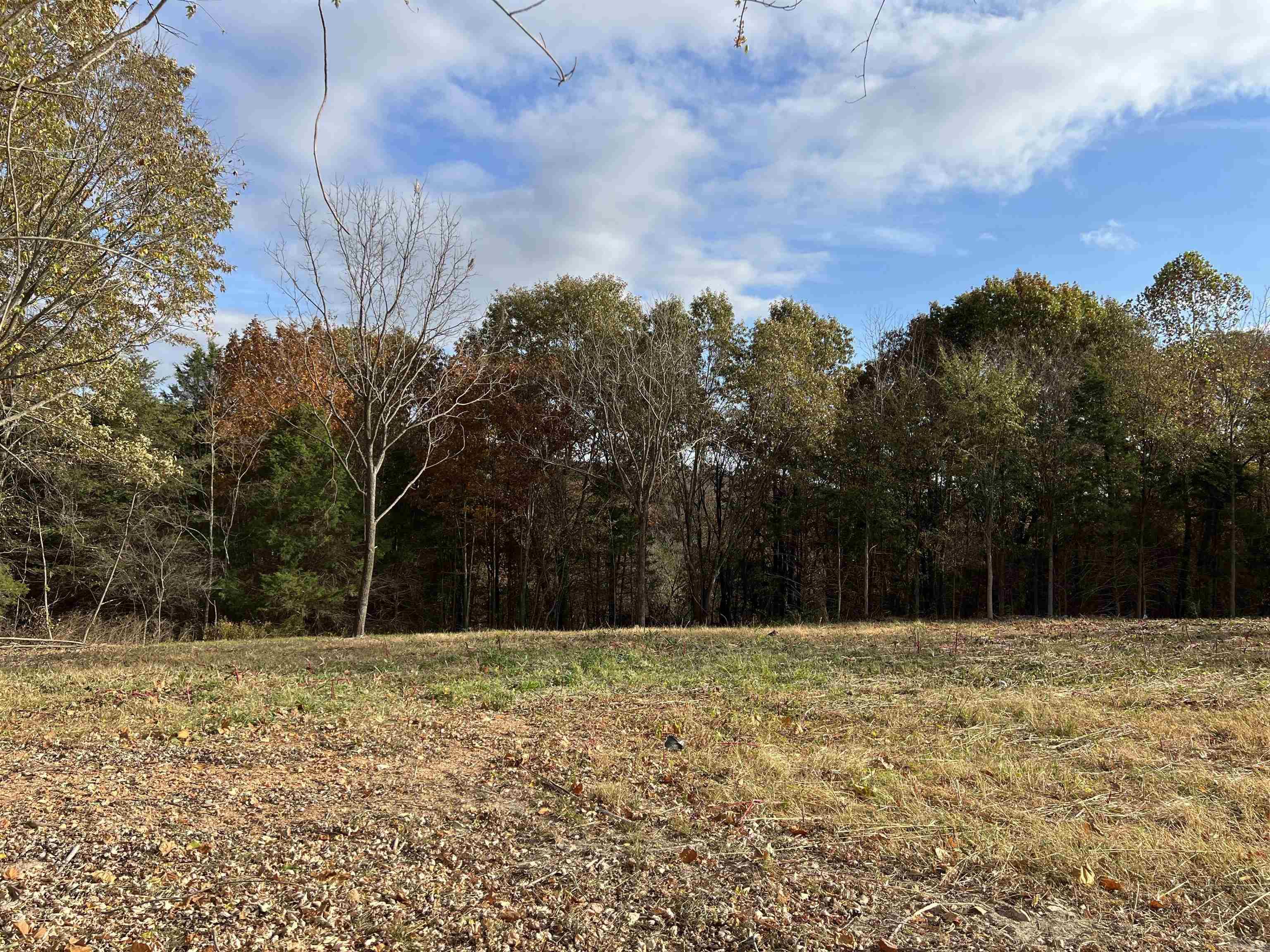 2758 N Center Loop  Harrison, AR