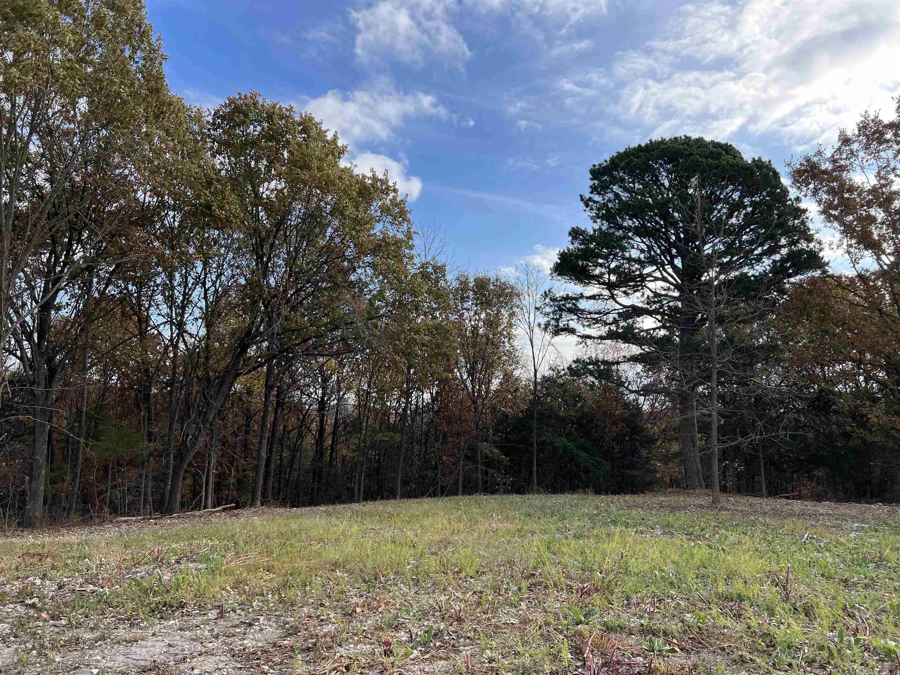 2758 N Center Loop  Harrison, AR