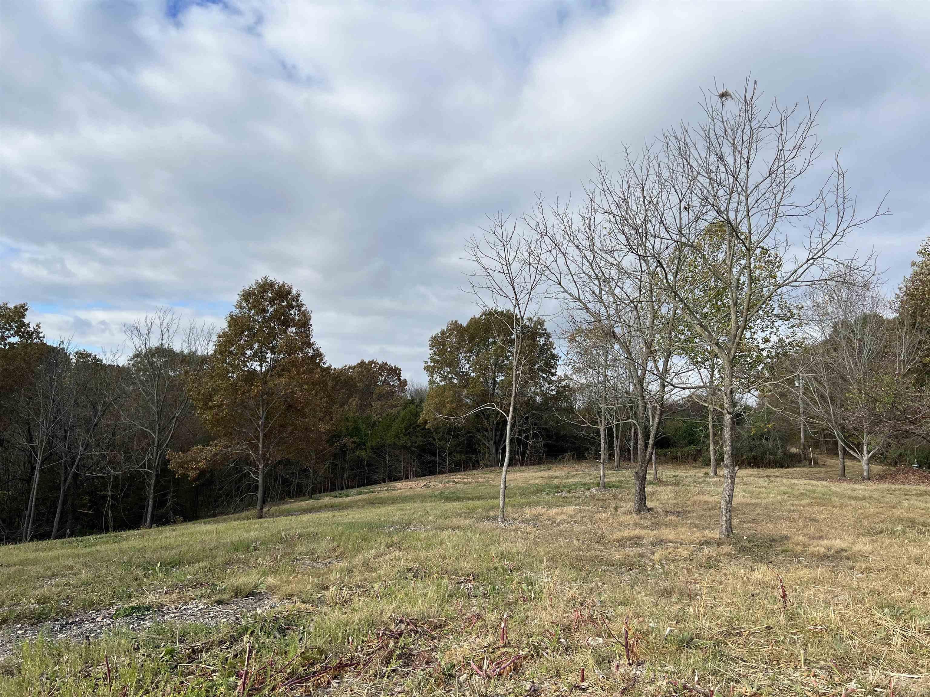 2758 N Center Loop  Harrison, AR