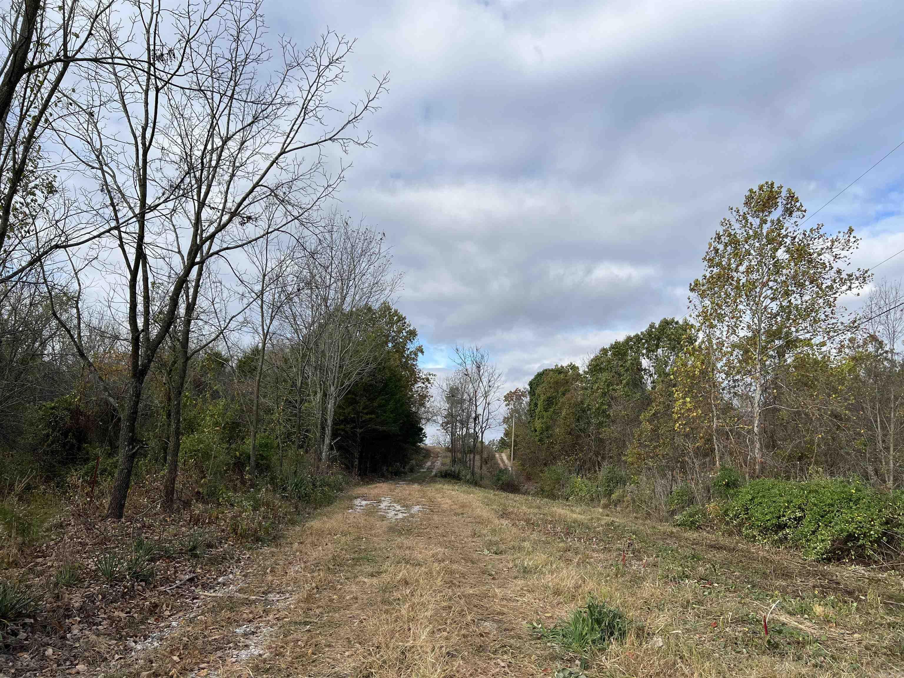 2758 N Center Loop  Harrison, AR