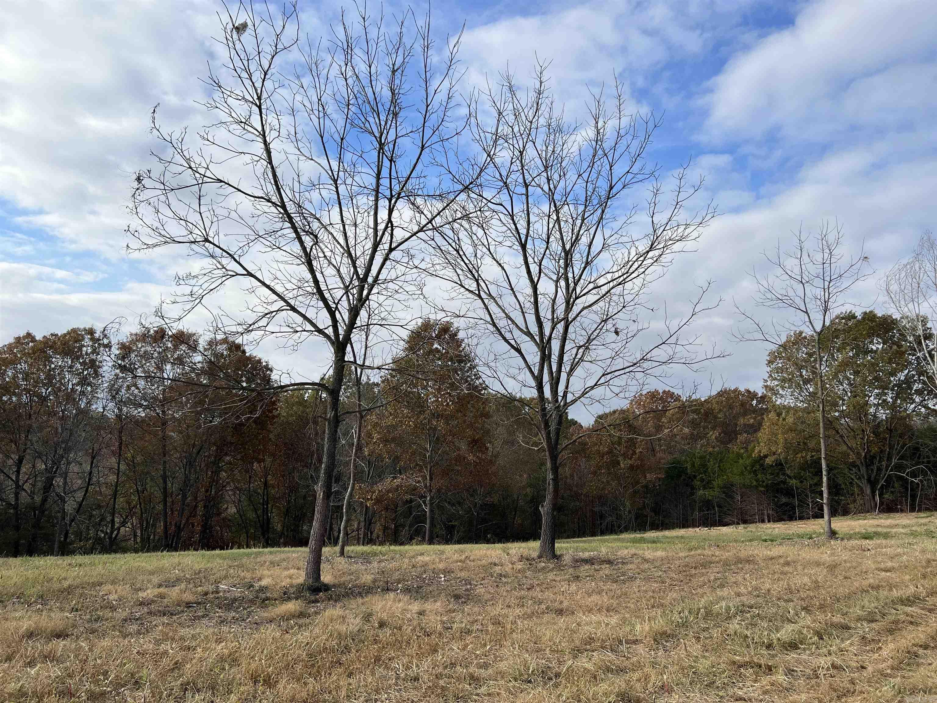 2758 N Center Loop  Harrison, AR