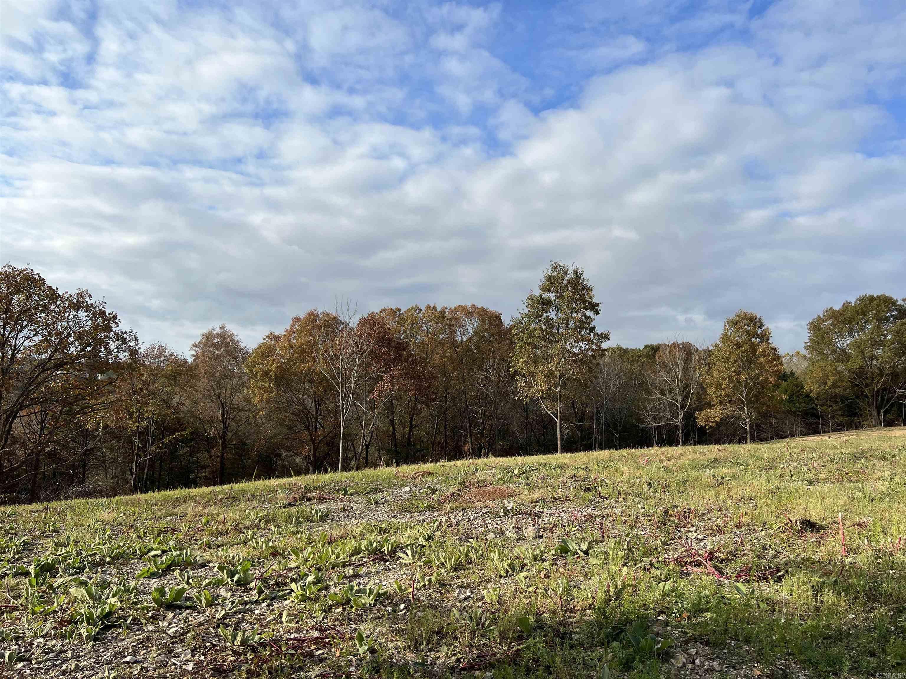 2758 N Center Loop  Harrison, AR