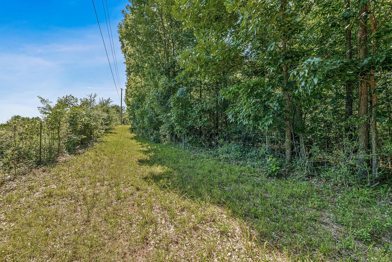 3309-B S Culberhouse  Jonesboro, AR