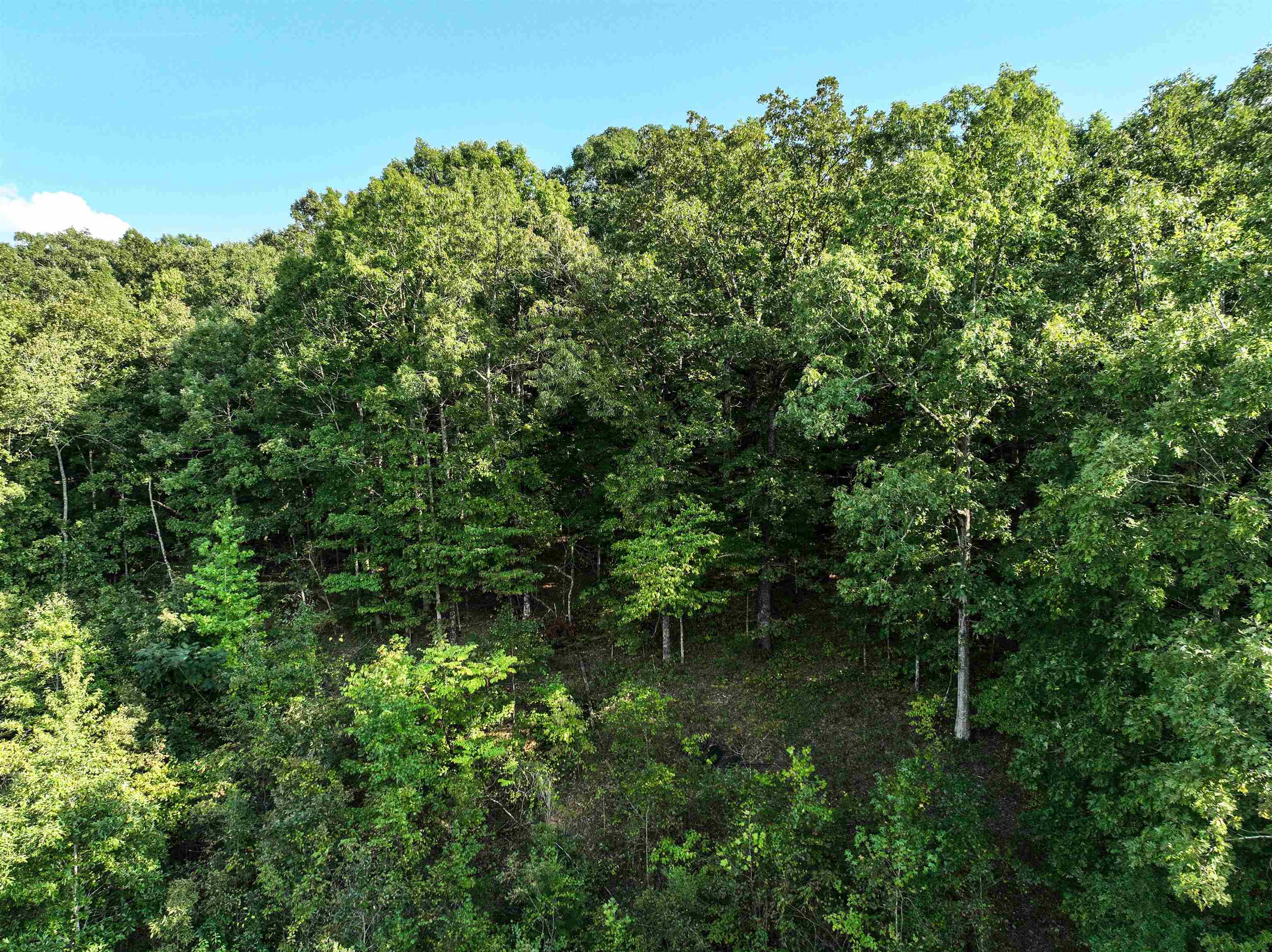 TBD  Mountain Ranch Lot 75/76 Austin, AR
