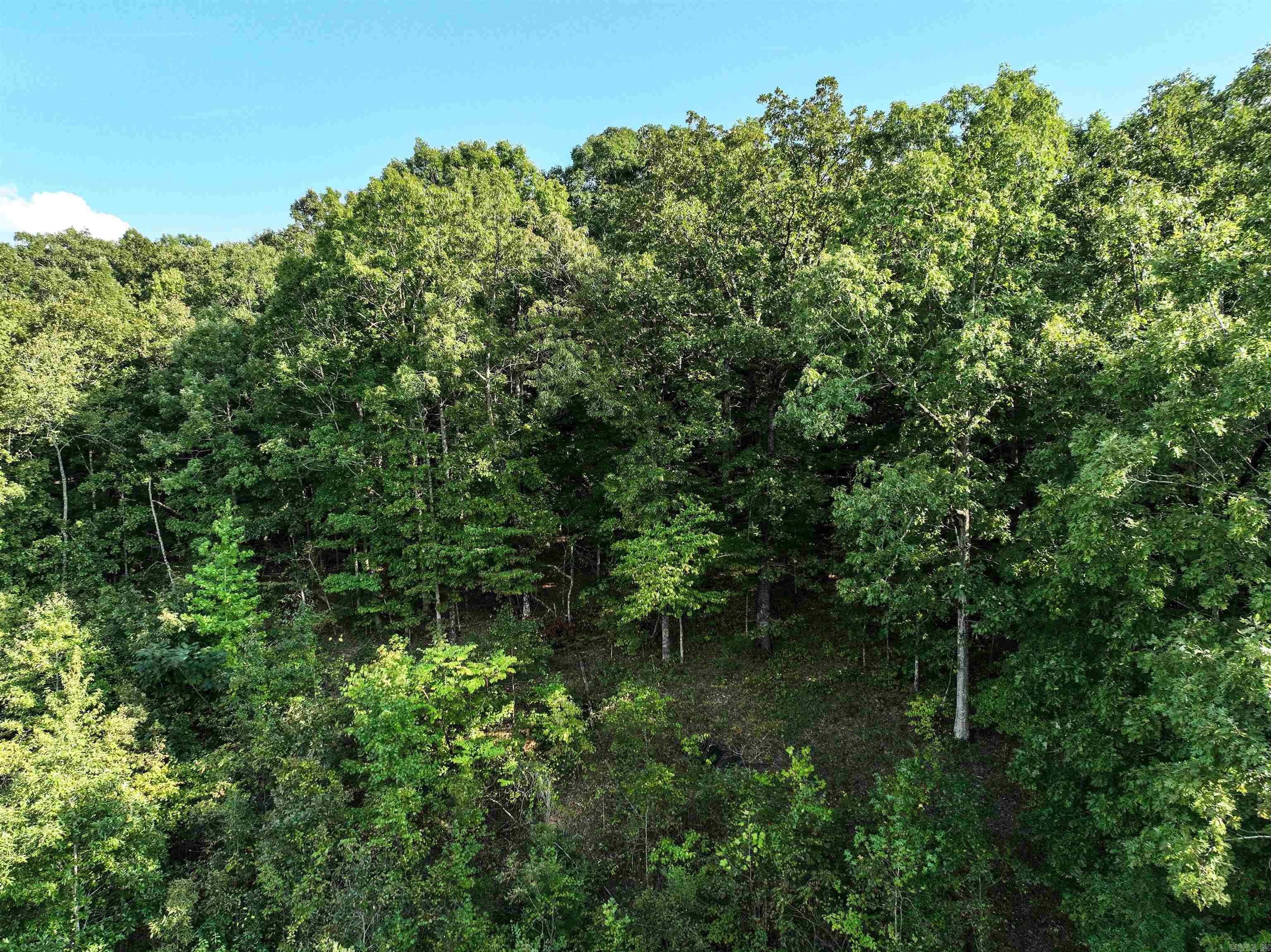 TBD Helen Lot 75/76 Austin, AR
