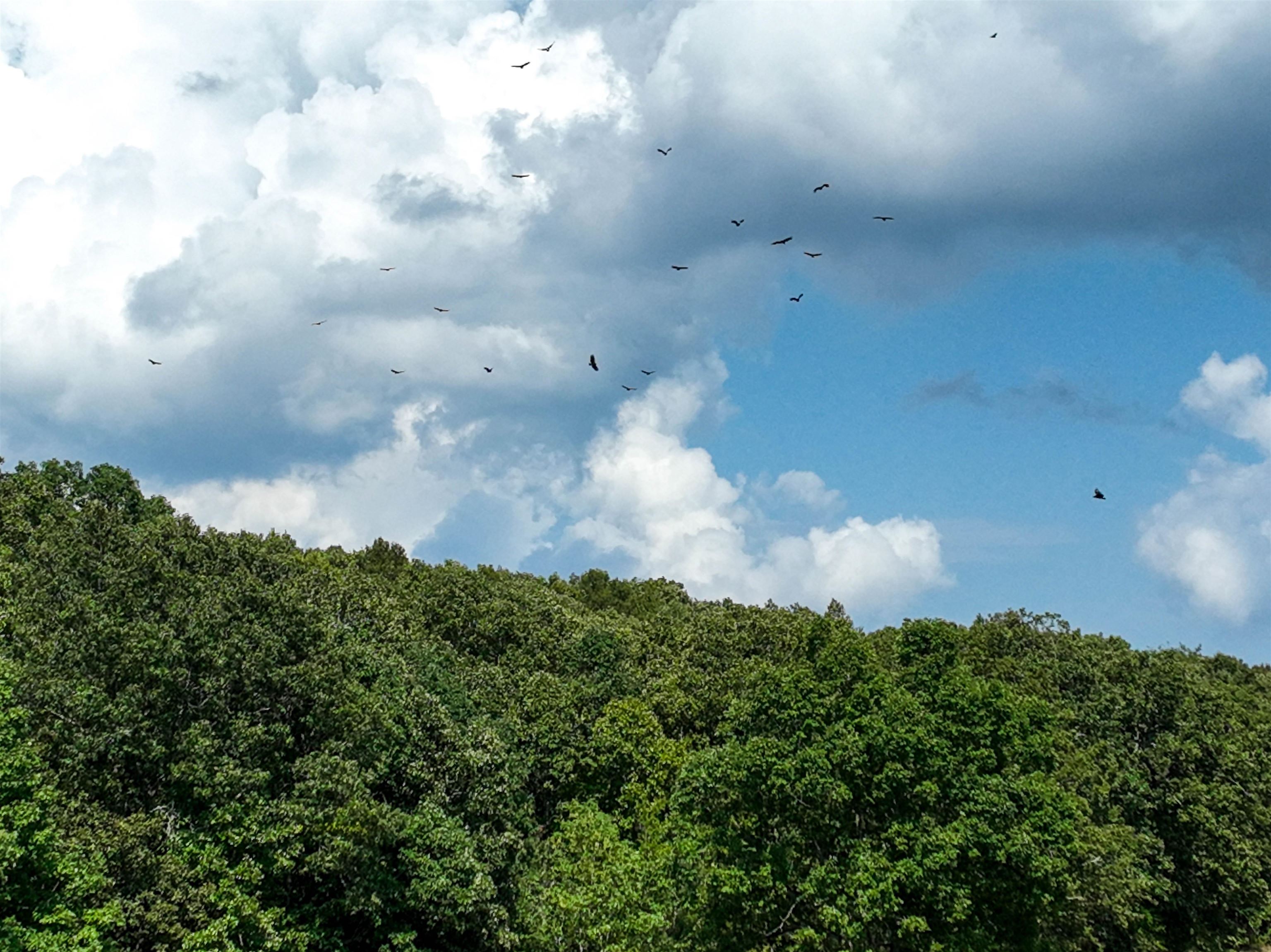 TBD  Mountain Ranch Lot 75/76 Austin, AR