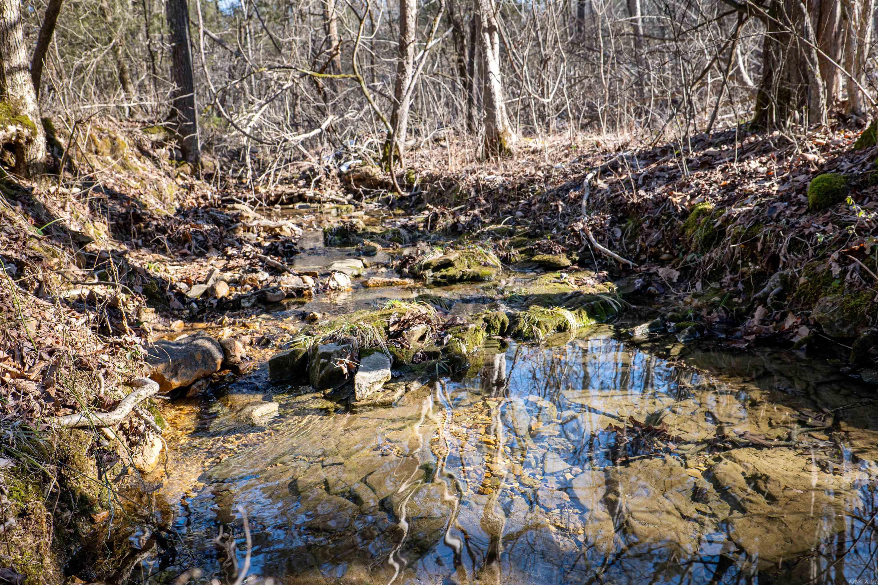 0  County Road 529  Pocahontas, AR