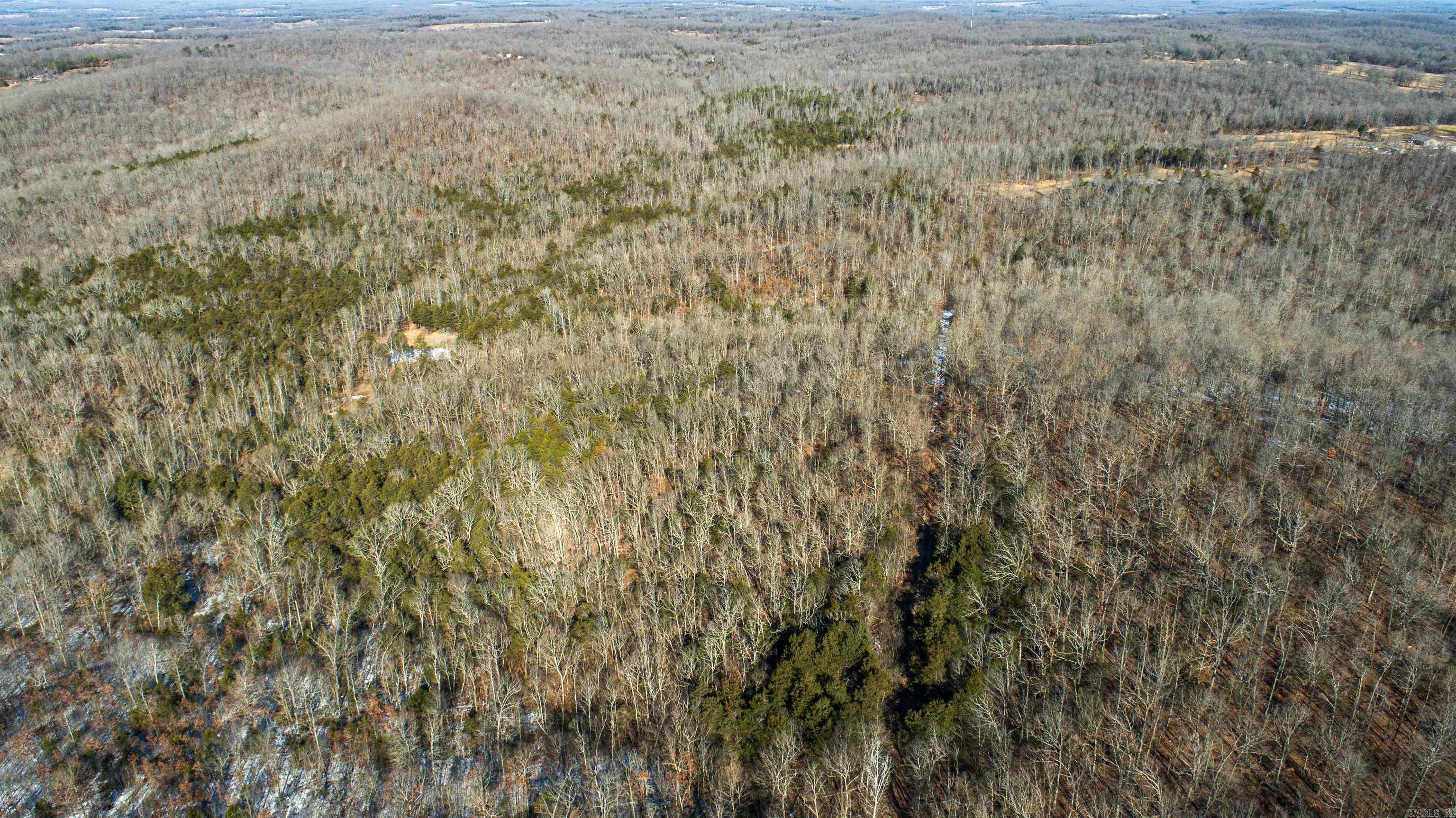 0  County Road 529  Pocahontas, AR