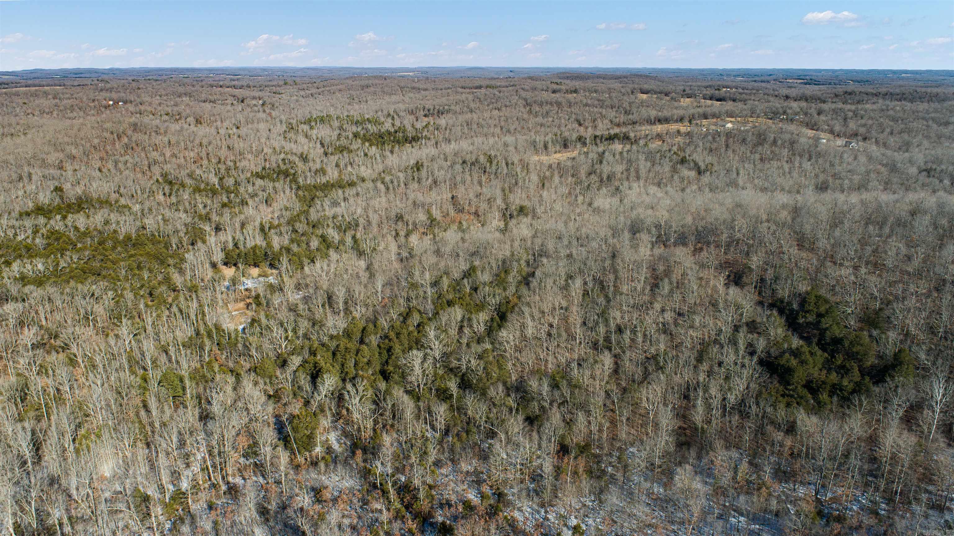 0  County Road 529  Pocahontas, AR