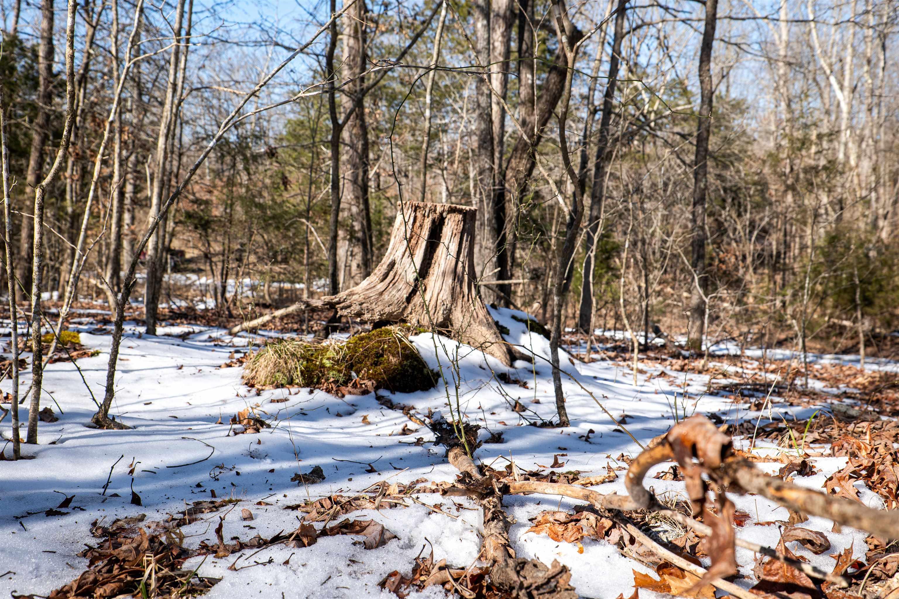 0  County Road 529  Pocahontas, AR
