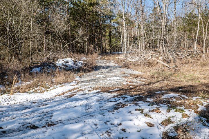 0  County Road 529  Pocahontas, AR