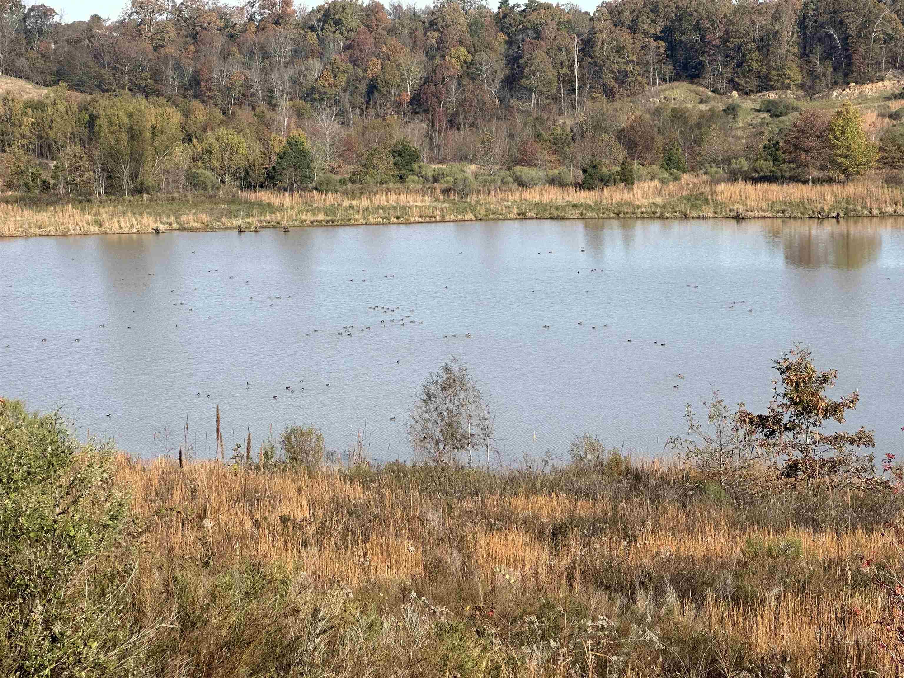 3523  Highway 163  Cherry Valley, AR