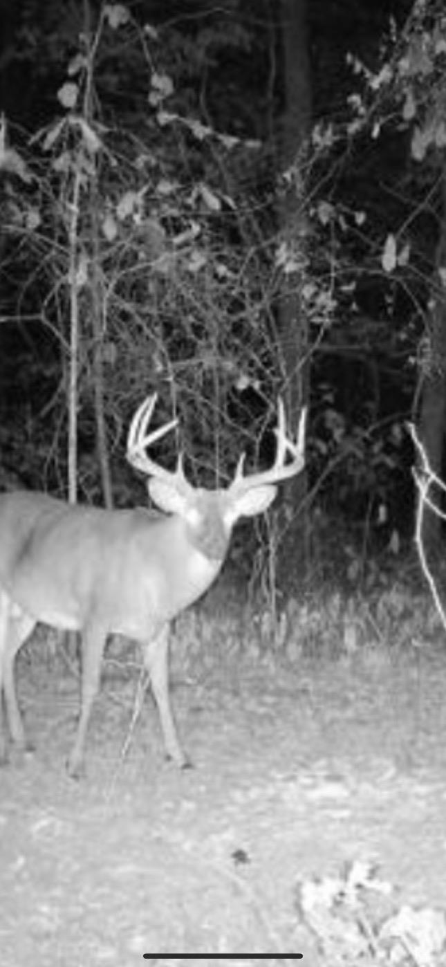 3523  Highway 163  Cherry Valley, AR