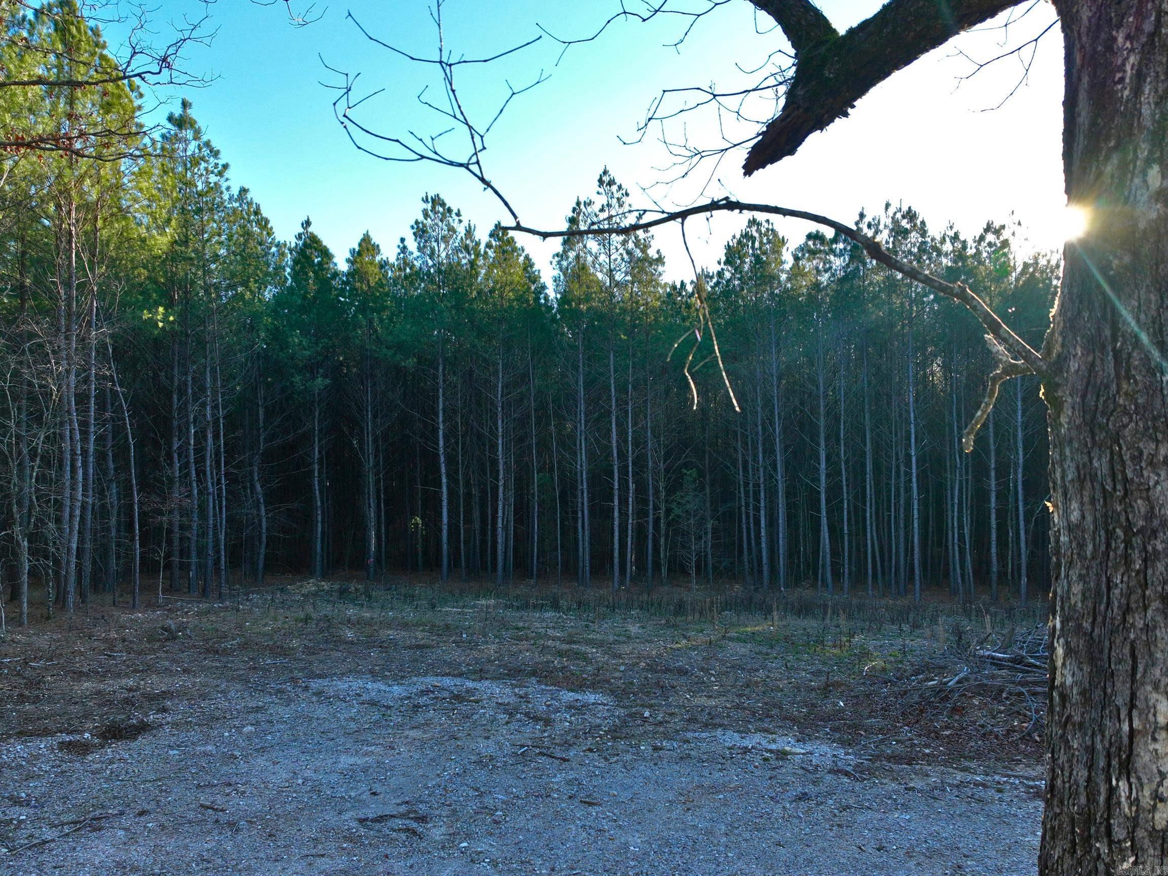314  Stihl  Hot Springs, AR