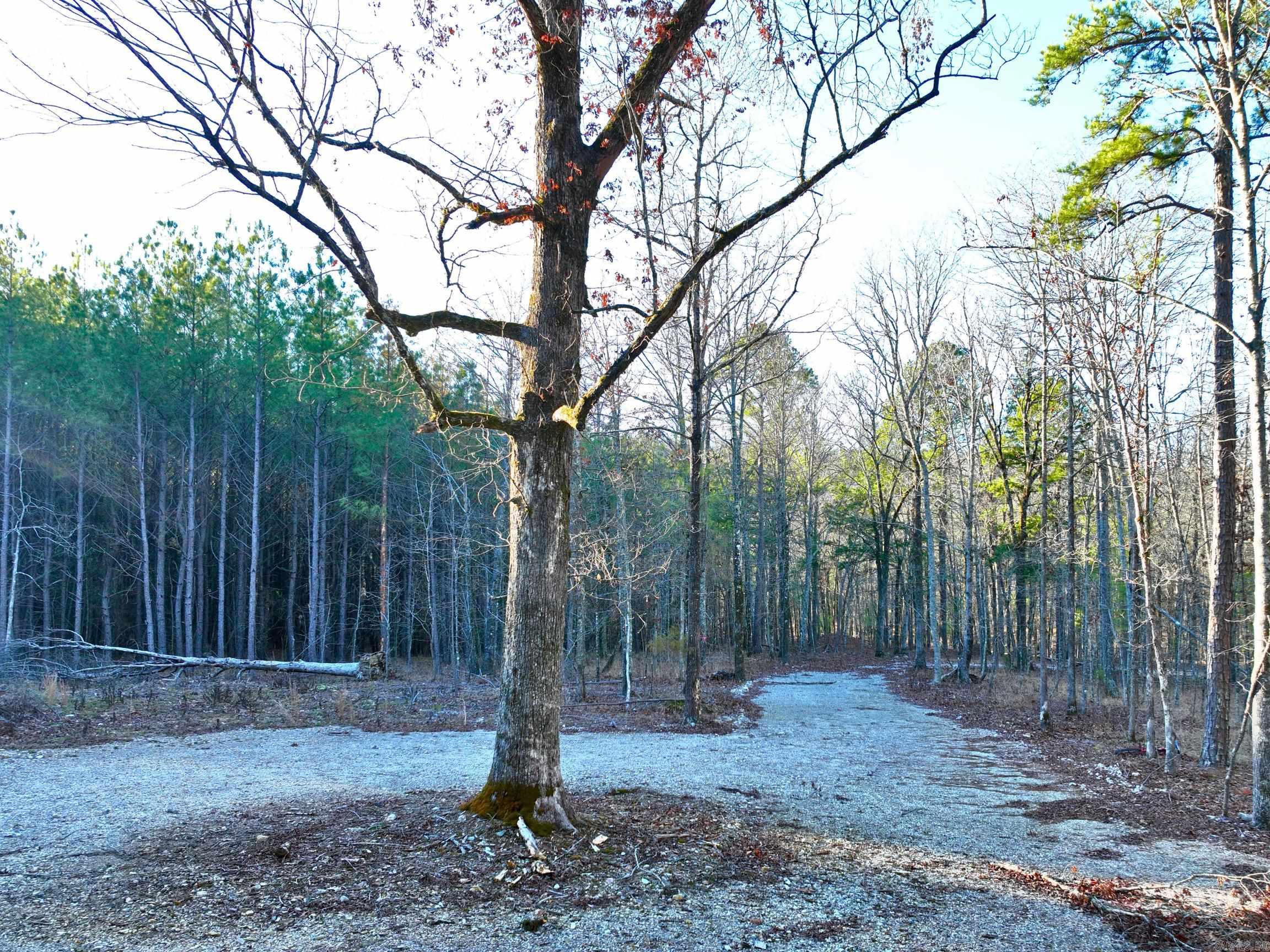 314  Stihl  Hot Springs, AR