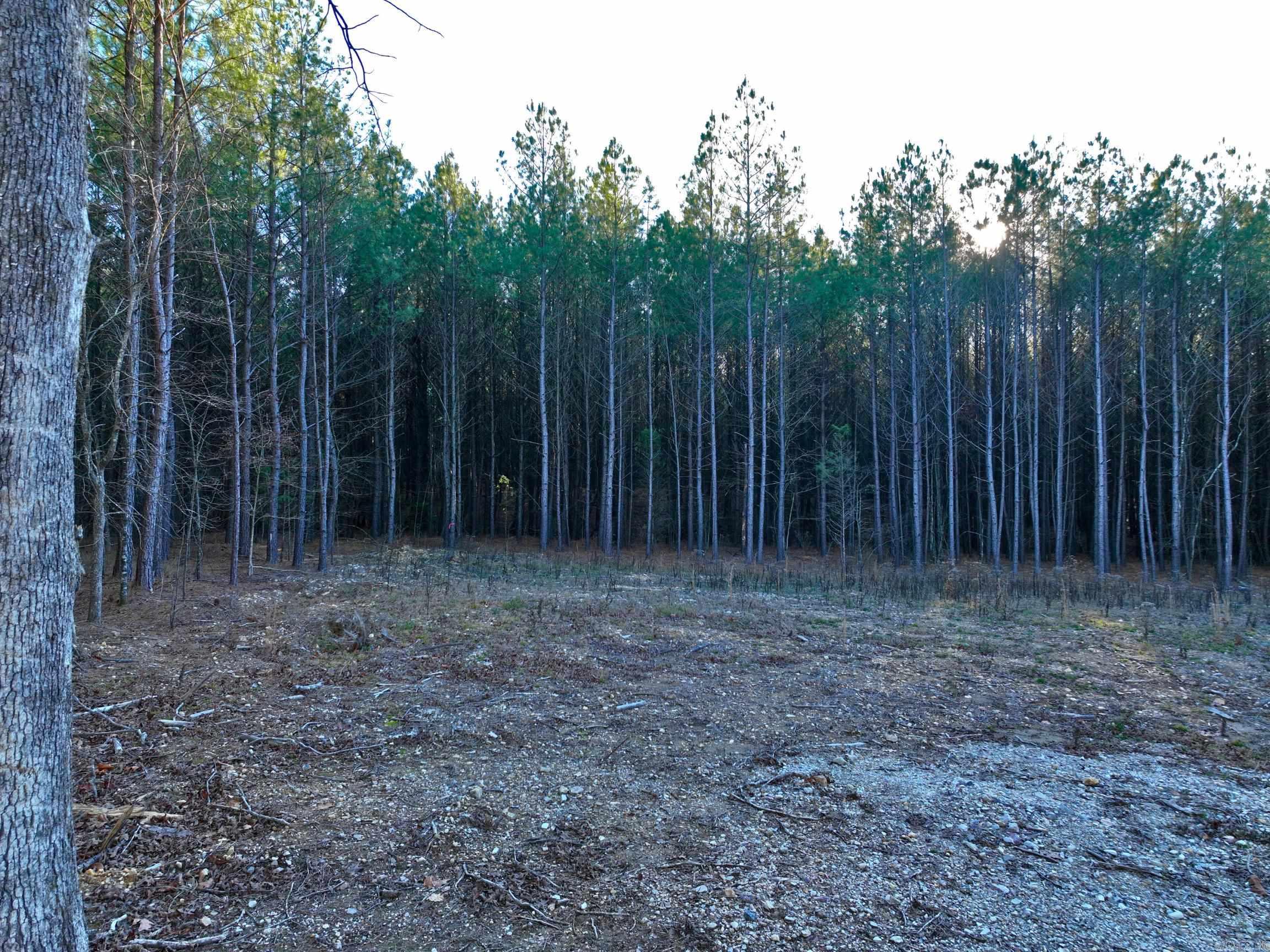 314  Stihl  Hot Springs, AR