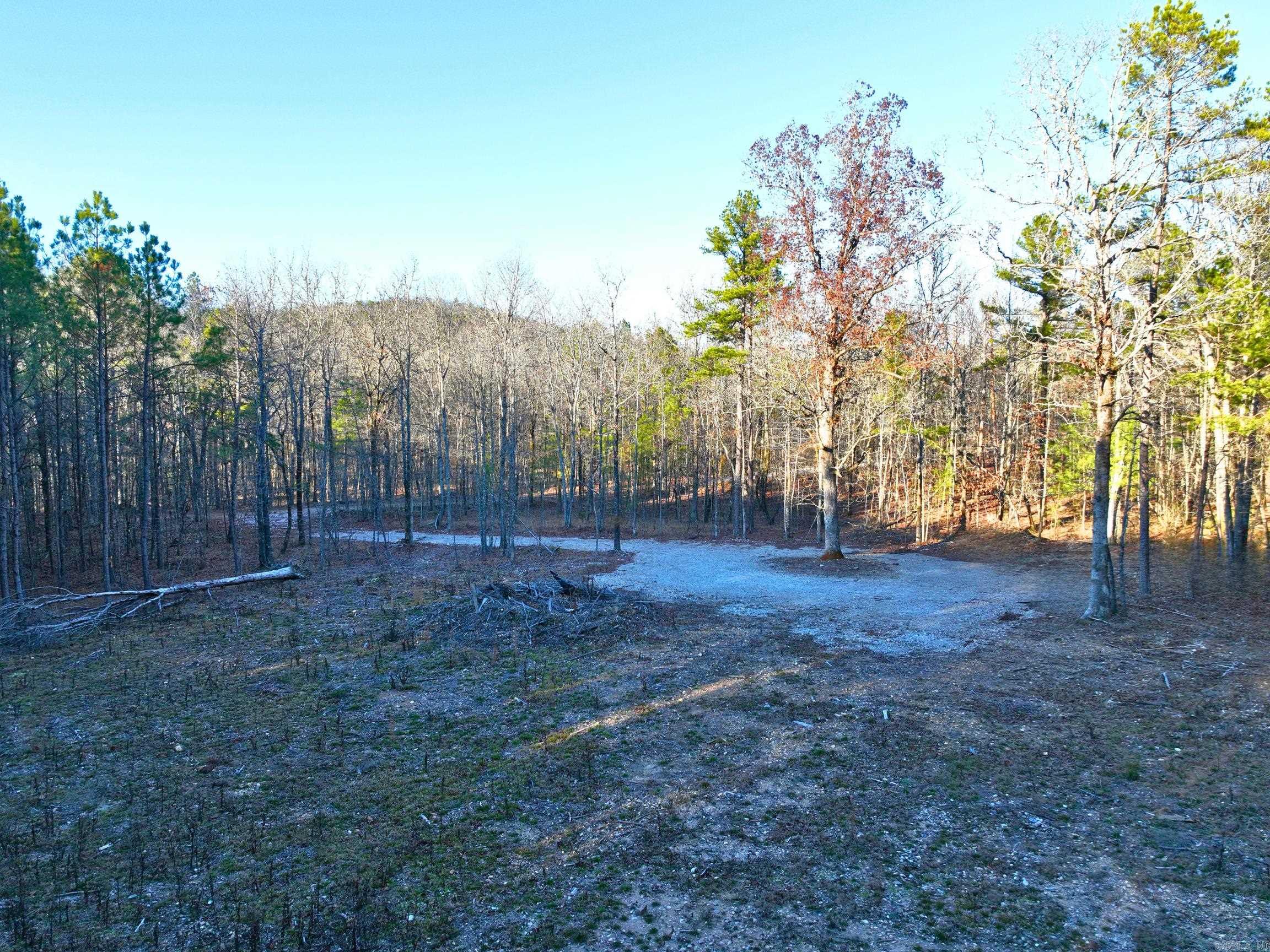 314  Stihl  Hot Springs, AR