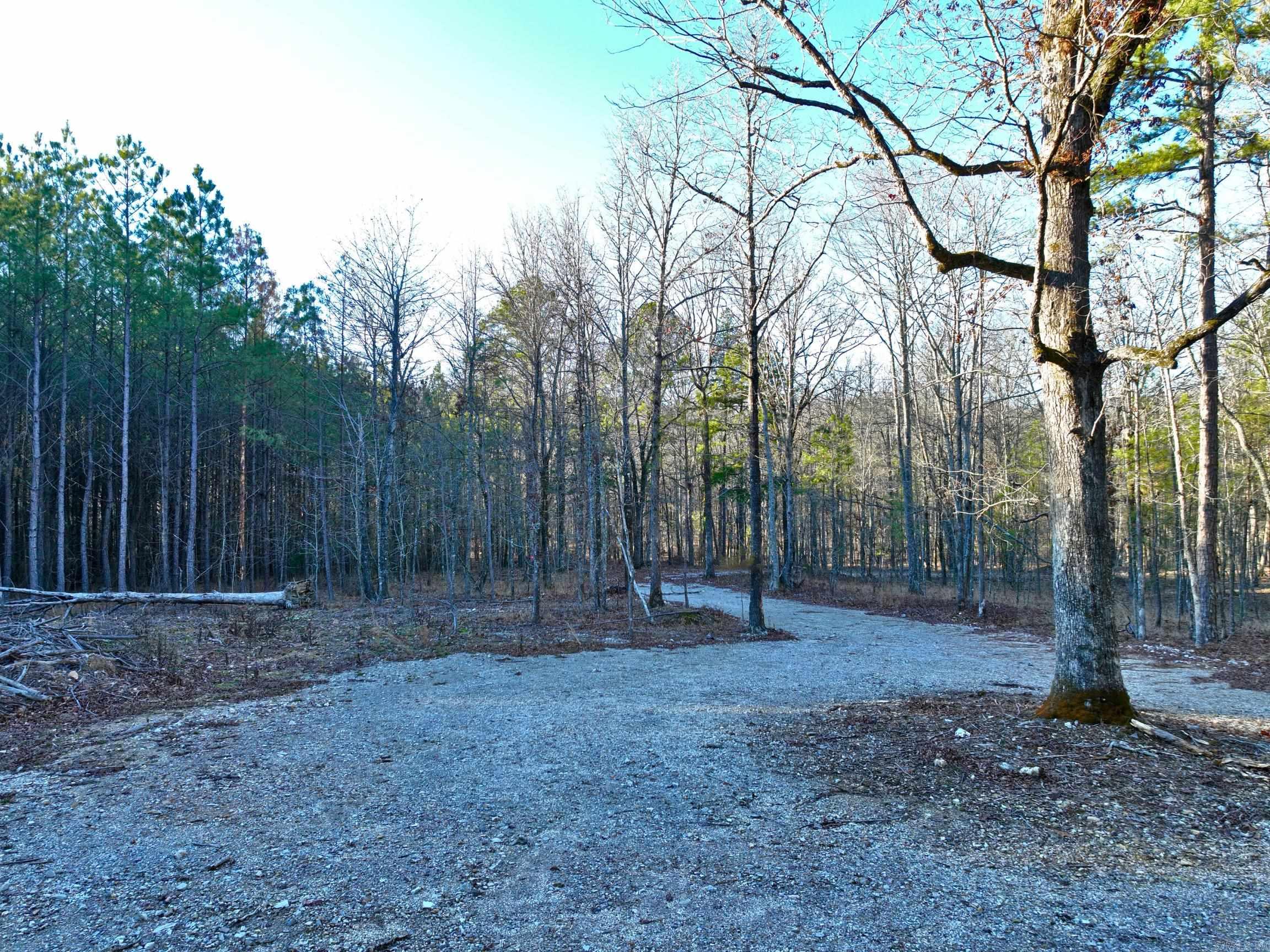 314  Stihl  Hot Springs, AR