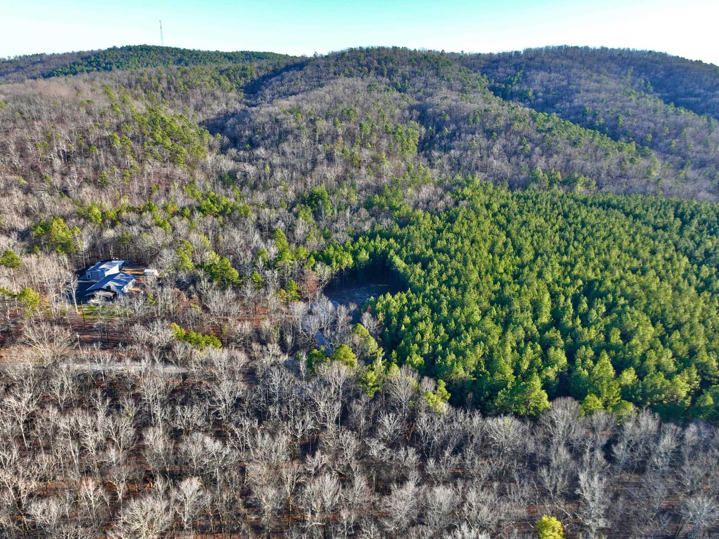 314  Stihl  Hot Springs, AR