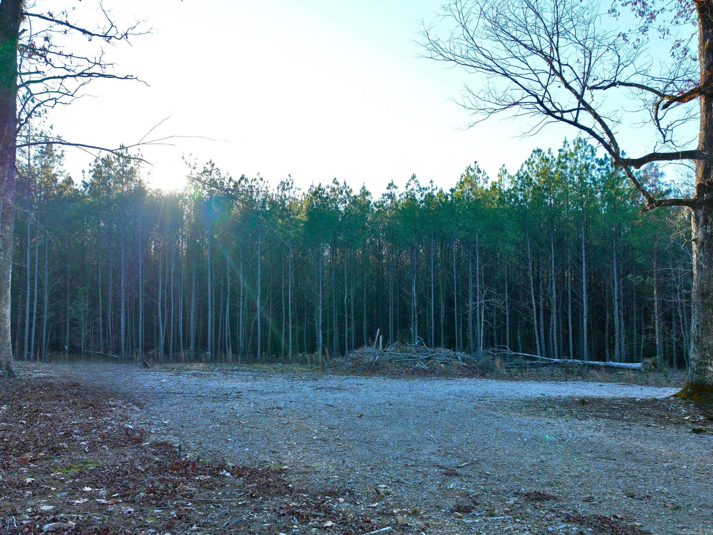 314  Stihl  Hot Springs, AR