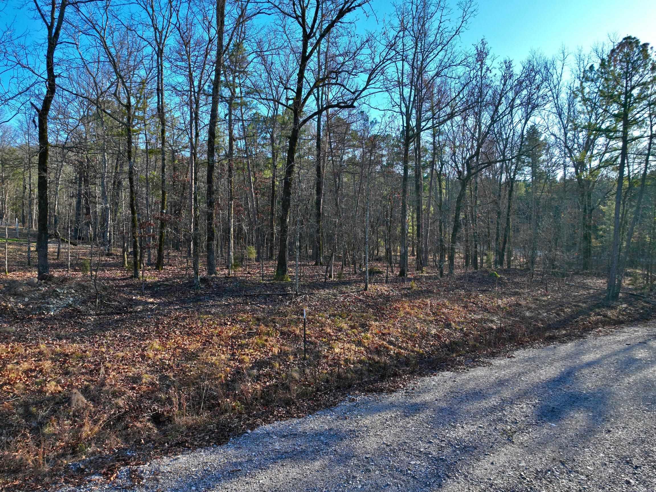 314  Stihl  Hot Springs, AR