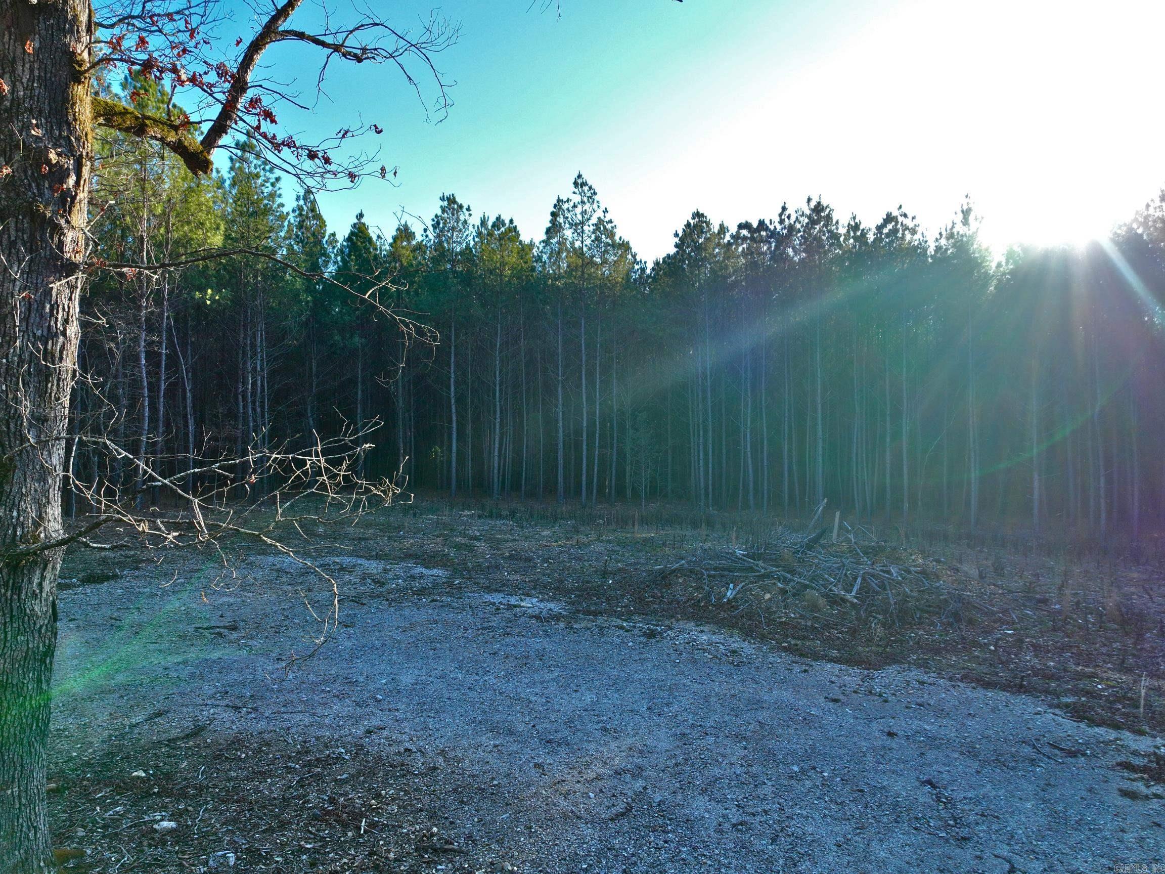 314  Stihl  Hot Springs, AR