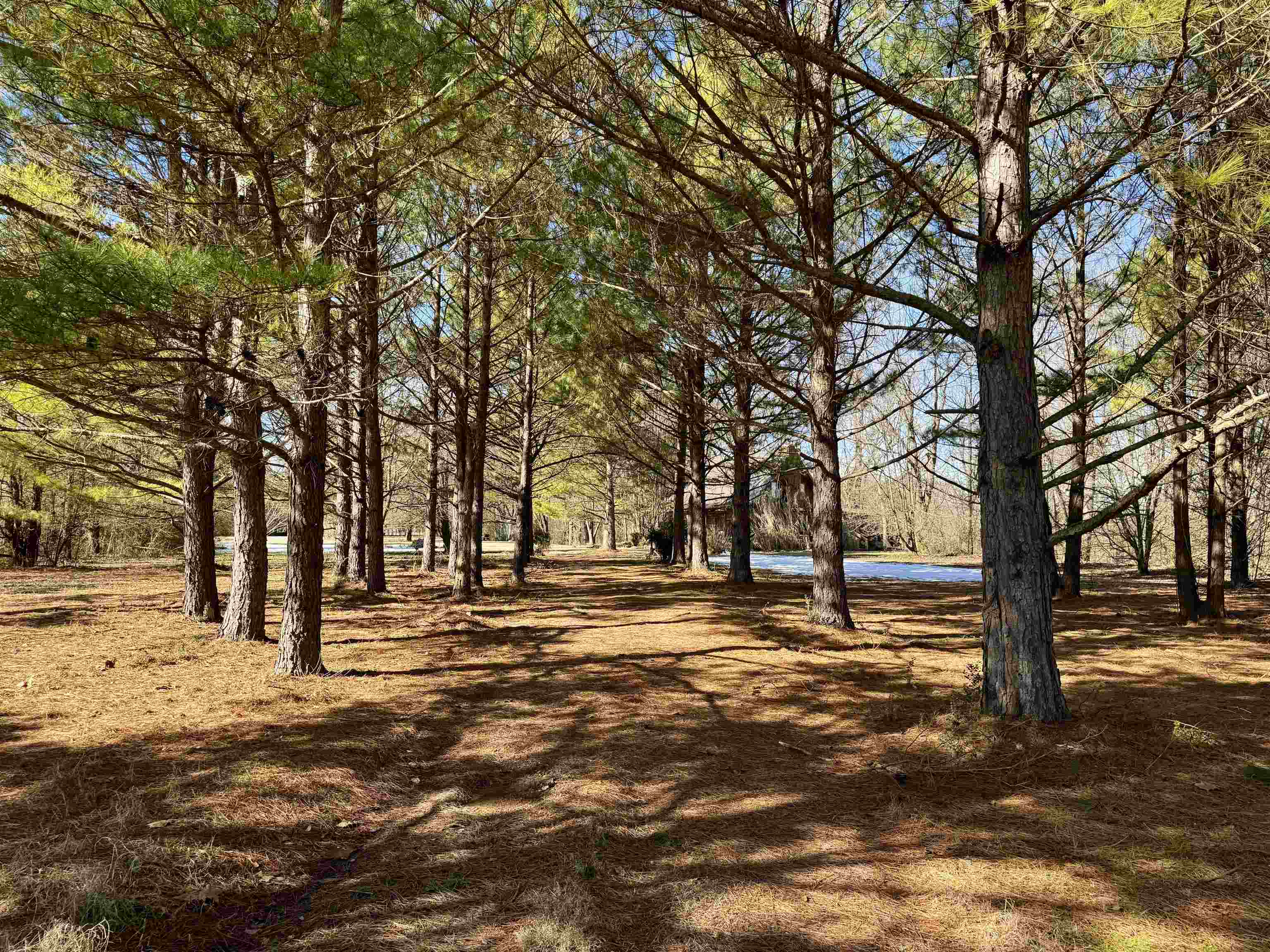 650  Gainer Ferry Road  Batesville, AR
