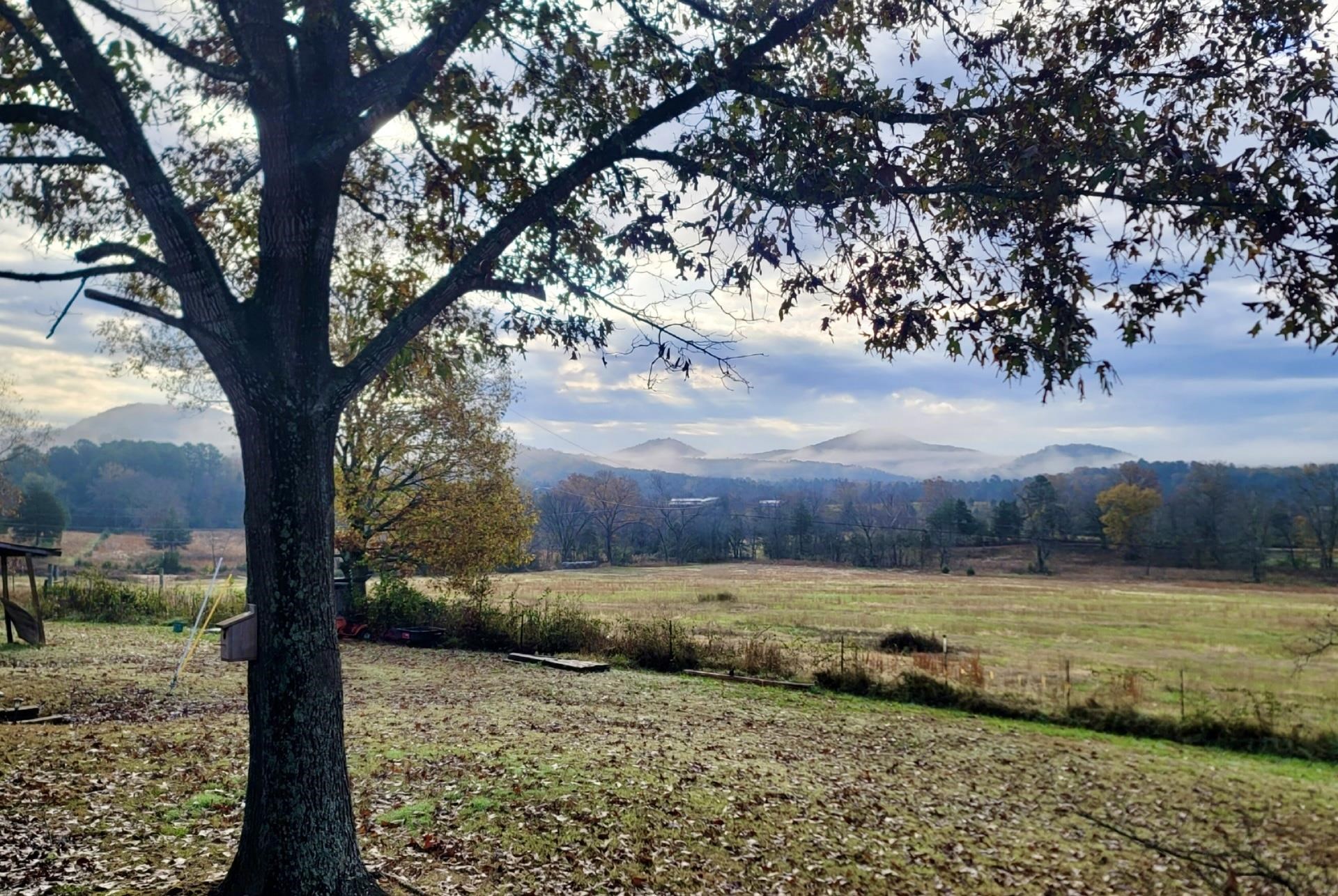 4380  Gorby Road  Calico Rock, AR