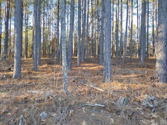 205  Pizarro  Hot Springs Village, AR