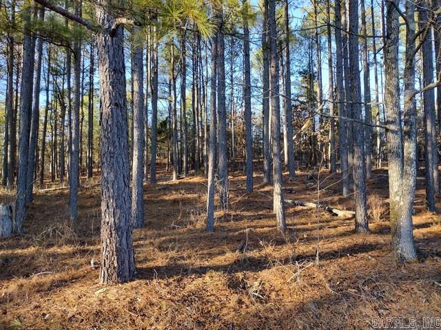205  Pizarro  Hot Springs Village, AR