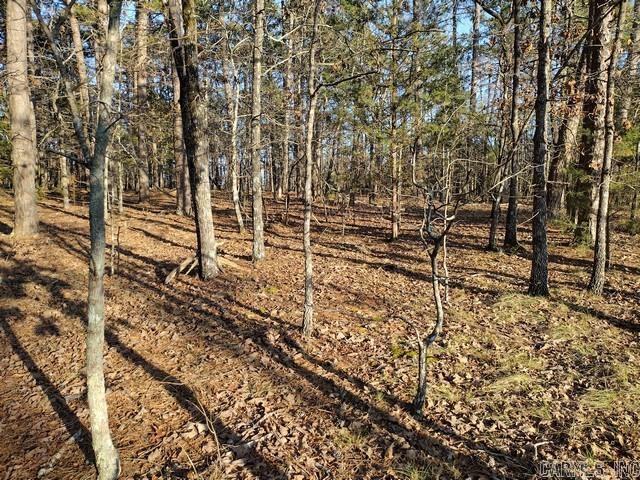 36  Fachado  Hot Springs Village, AR